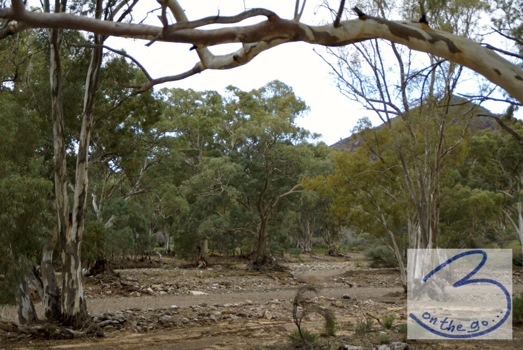 Flinders Ranges Nationalpark