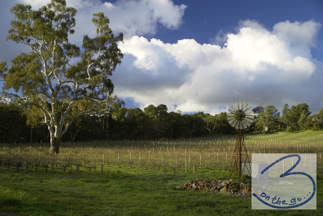 Clare Valley scenery