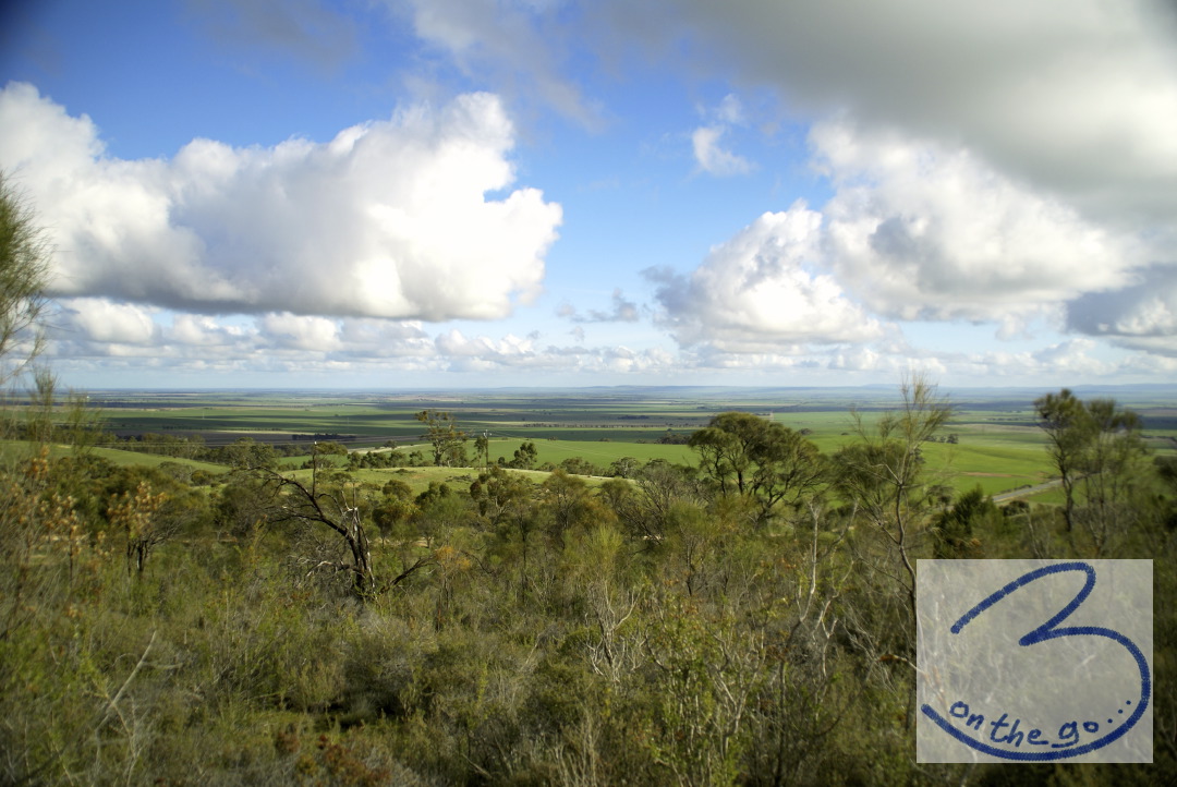 Clare Valley scenery