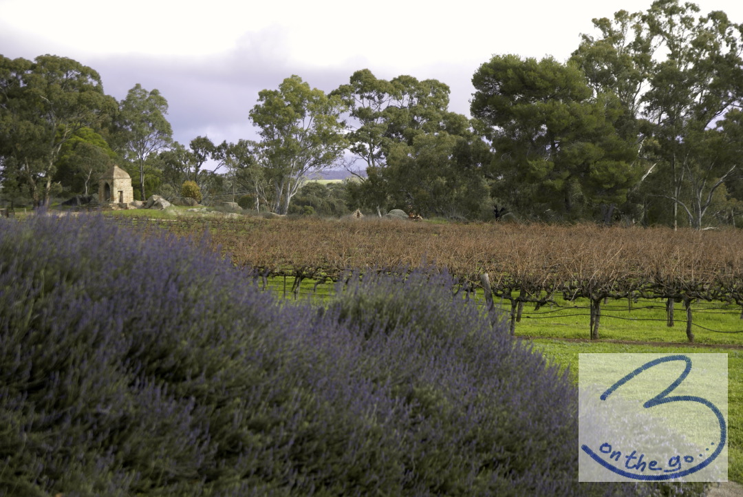 At the Seven Hills Winery, Clare Valley
