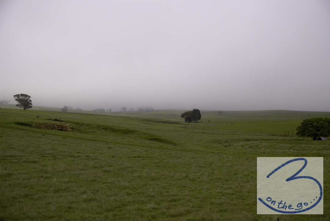A rather gloomy, but beautiful morning in Auburn, Clare Valley