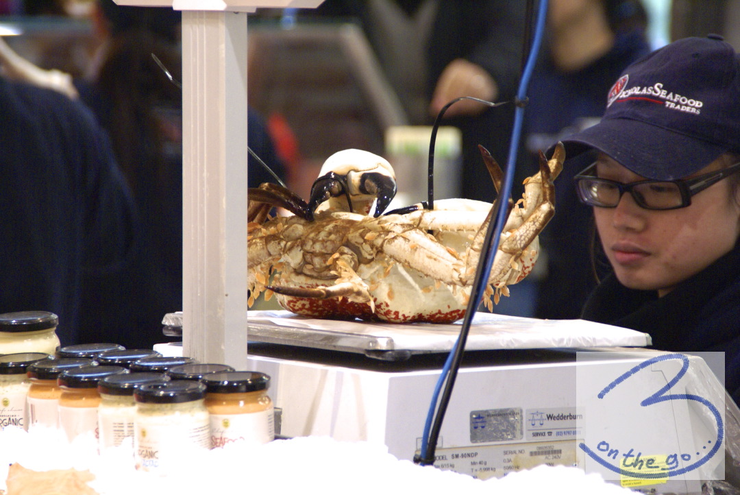 At the Sydney Fish Market