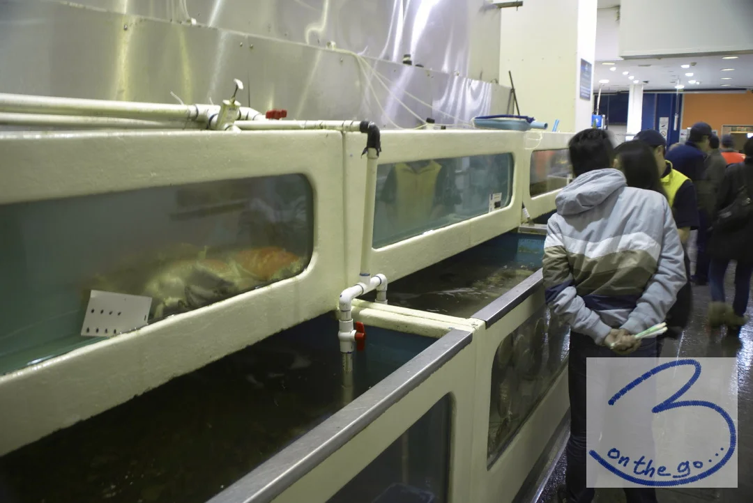 At the Sydney Fish Market