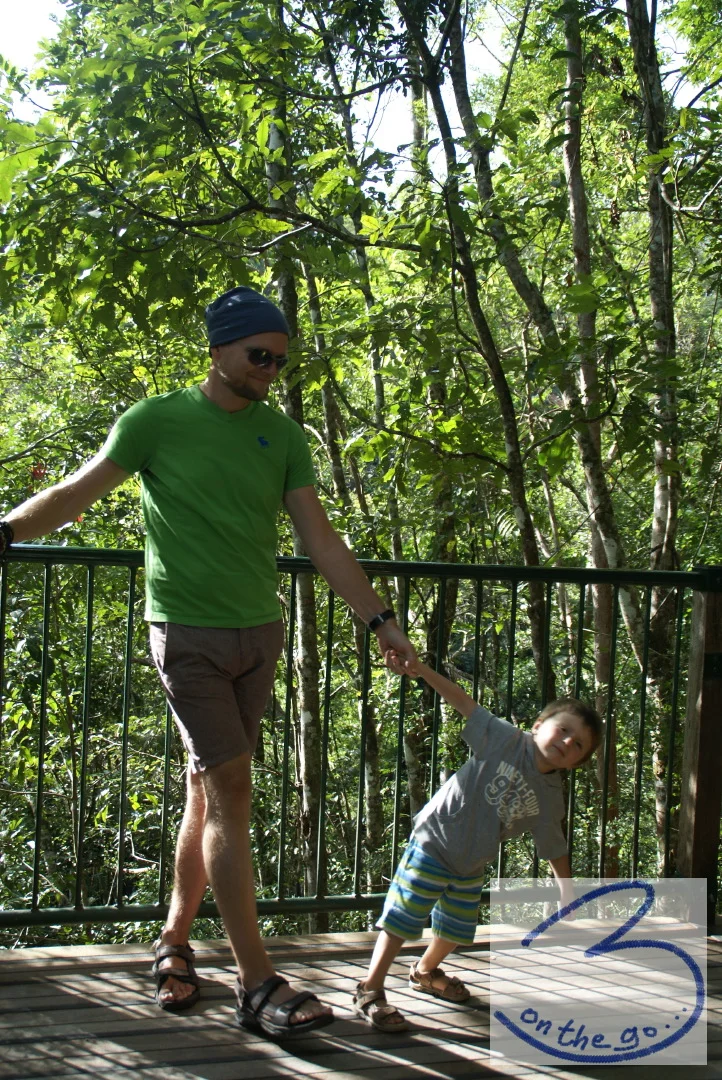 Stop-over in the rainforest!