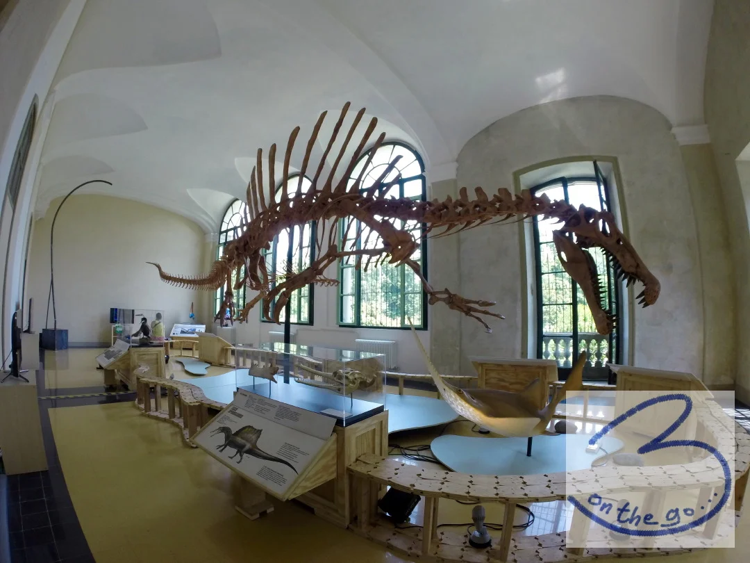 Spinosaurus fossil