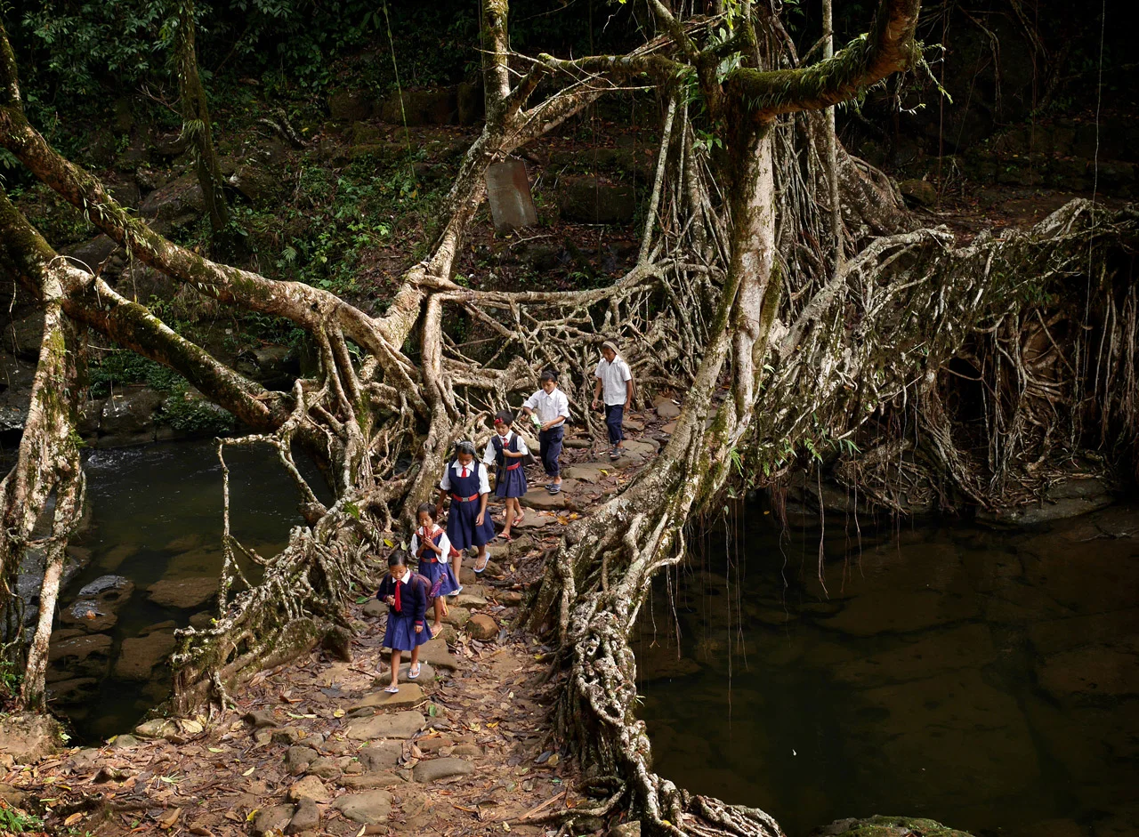 "En root to school": At around 8:30am every weekday these friends make their way through the jungle and across an ancient tree root bridge on their way to class. Click here for full story on the Meghalaya region of India. 