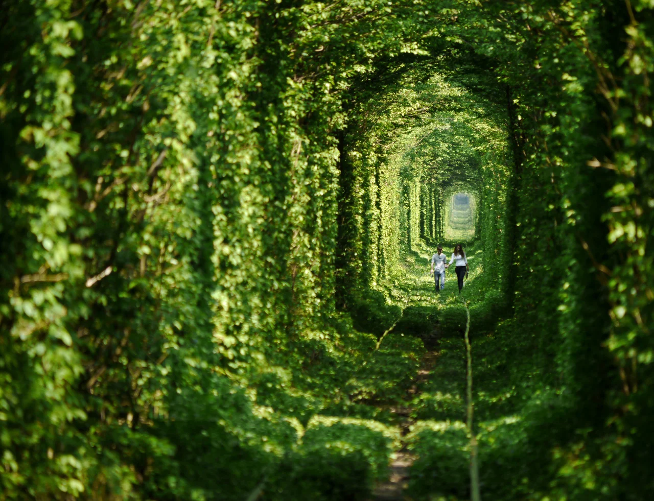 A local couple walk through the "Tunnel of Love" in Ukraine. A train runs through the tunnel thrice daily, delivering wood to a nearby factory & keeping the tunnel tightly trimmed. Click here for the full gallery. 