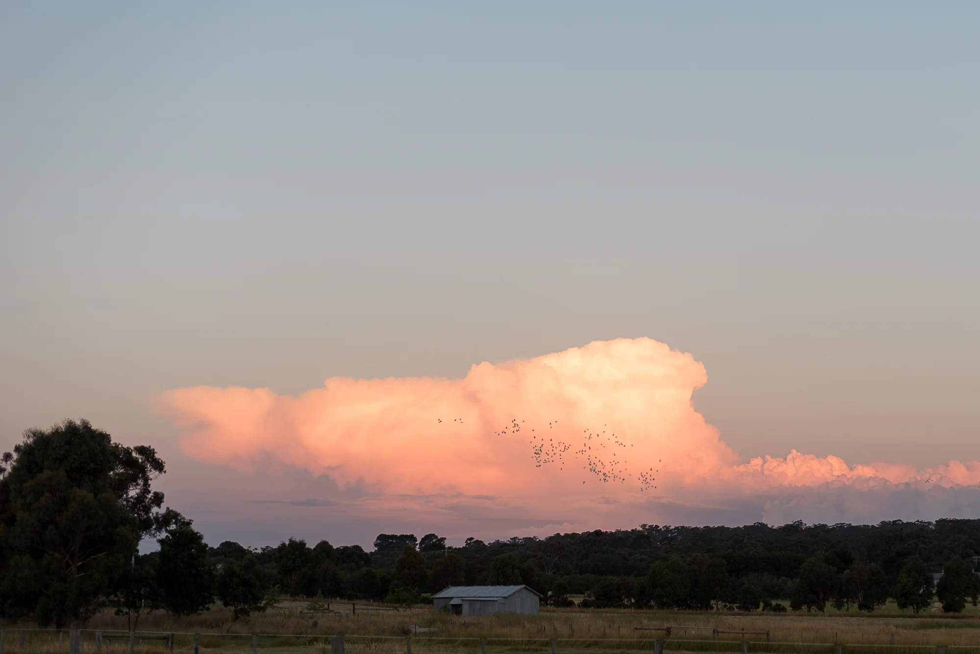 DSC_2978.jpg