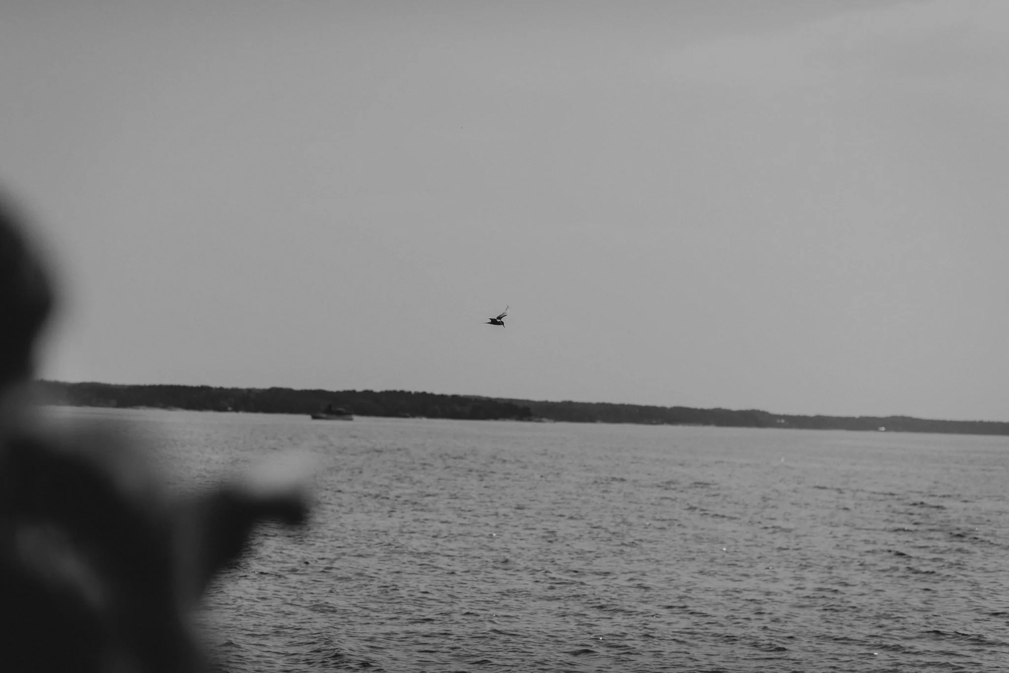 S&O-23.jpg