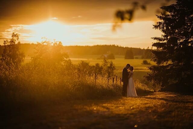 These golden hour sunsets are just breathtaking! Thank you Maria&amp;Mikko for veing so patient and waiting for the awesumest light!
#sunset #goldenhour #wedding #weddingphotography #weddingportrait #lookslikefilm #h&auml;&auml;kuvaajatig #nordiclove