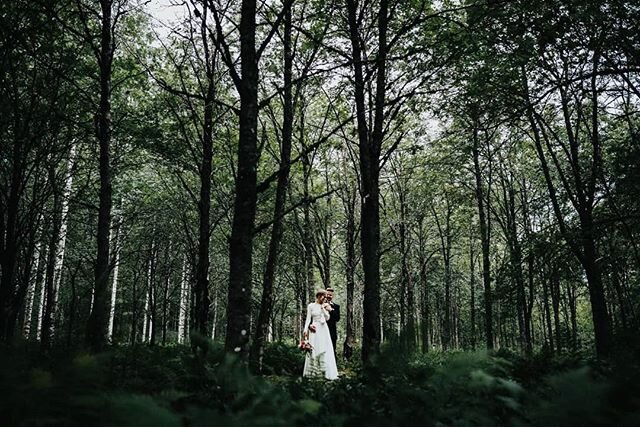 Throwback to 2017 and a wedding in H&auml;meelinna with Emma&amp;Tuomas. An amazeballs day with an even more amazeballs couple! #aulanko #h&auml;meenlinna #wedding #weddingportrait #nature #bride #groom