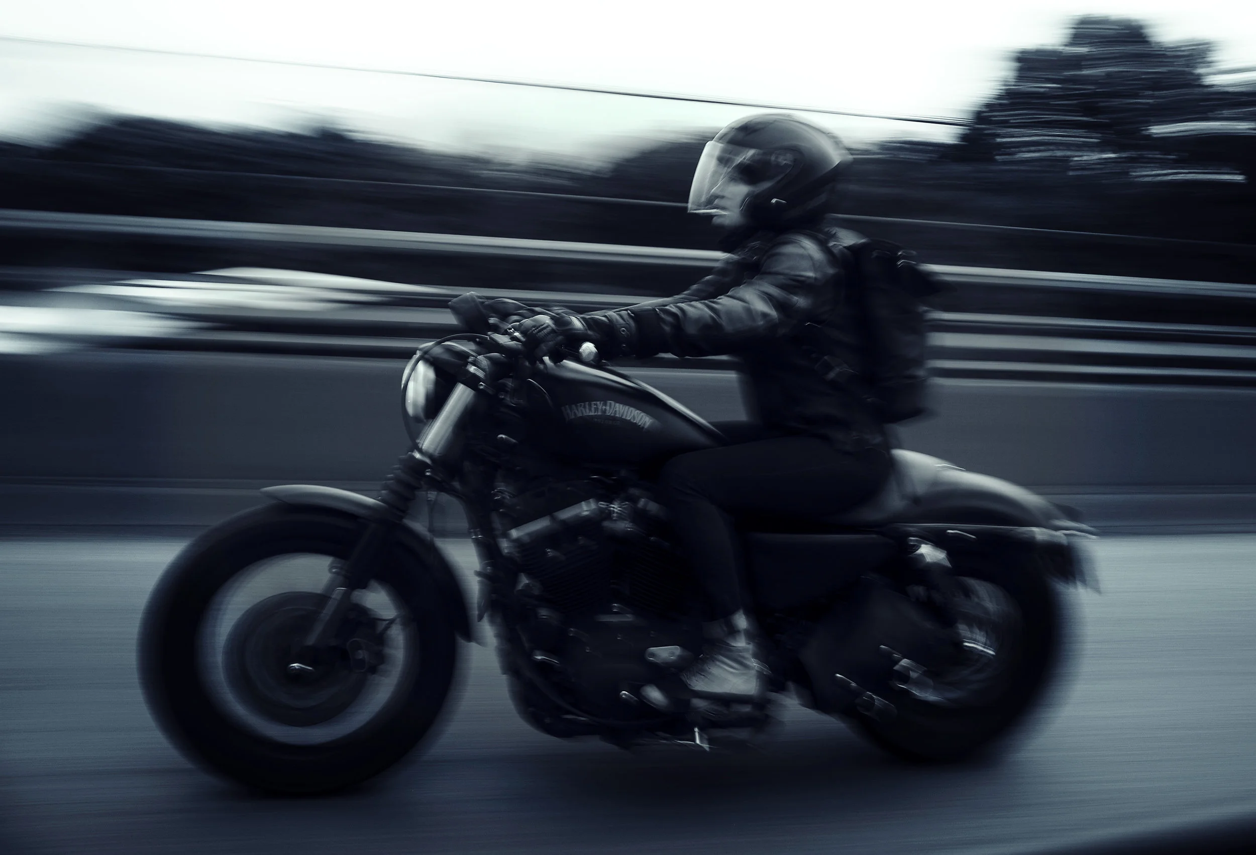 072517_0424.blackandbluejpg.JPG