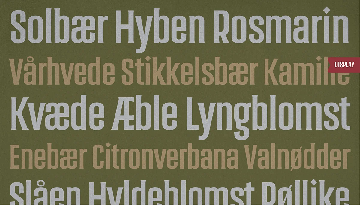 Schiøtz_Type2.jpg