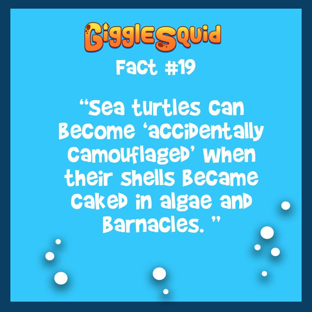 Squid Fact 19

#Kickstarter #KickstarterCampaign #Childrensbooks #Childrensliterature #Kidsbooks #GiggleSquid #Squid #Pirates #Sushi #EducationalBooks #Education