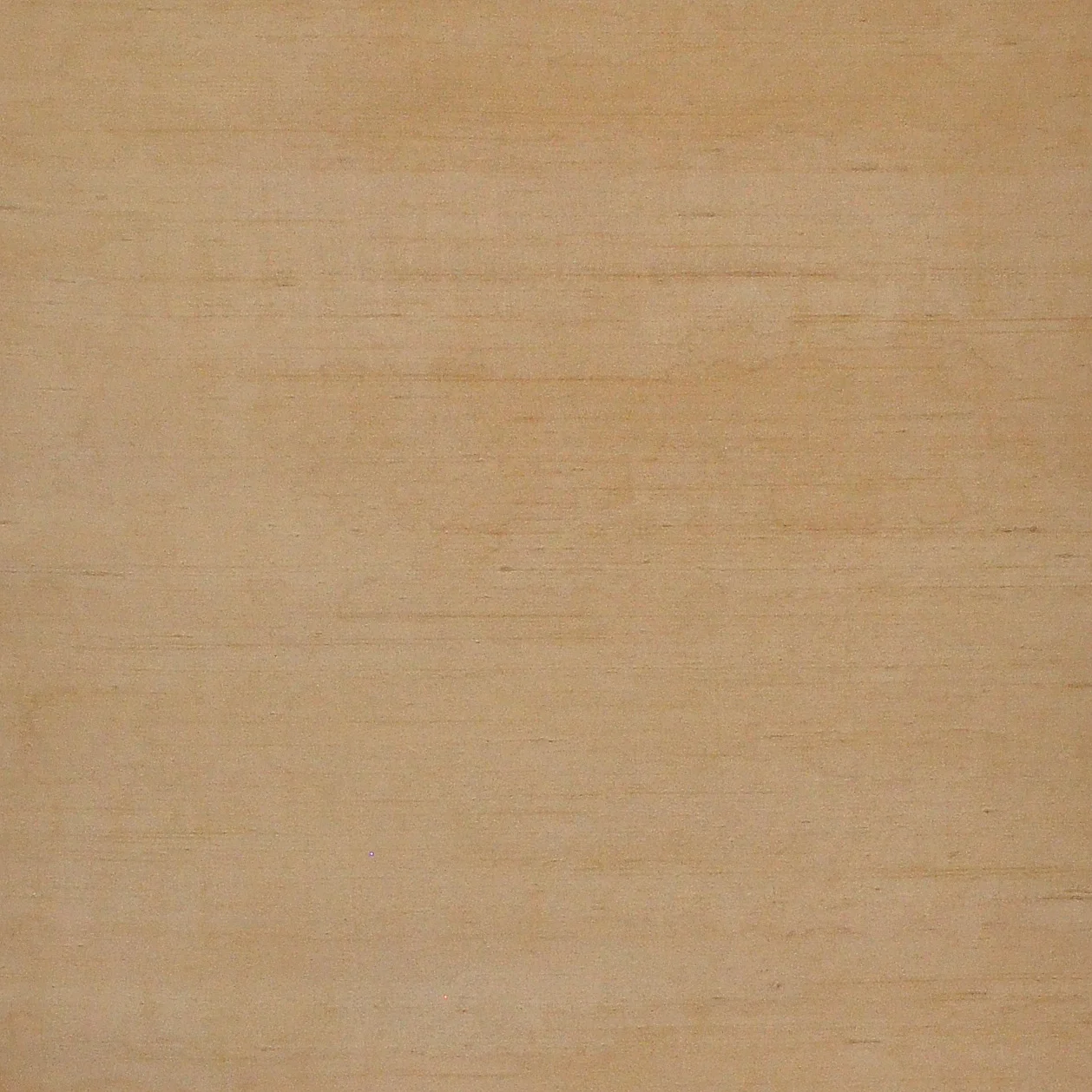 Y9802 Sienna
