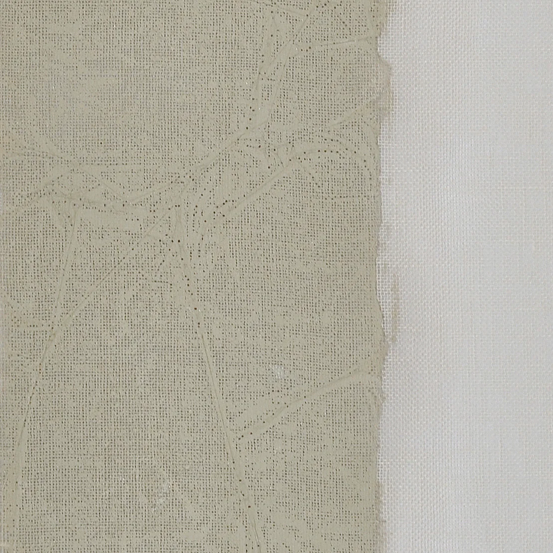 Y115-01 Green Desert