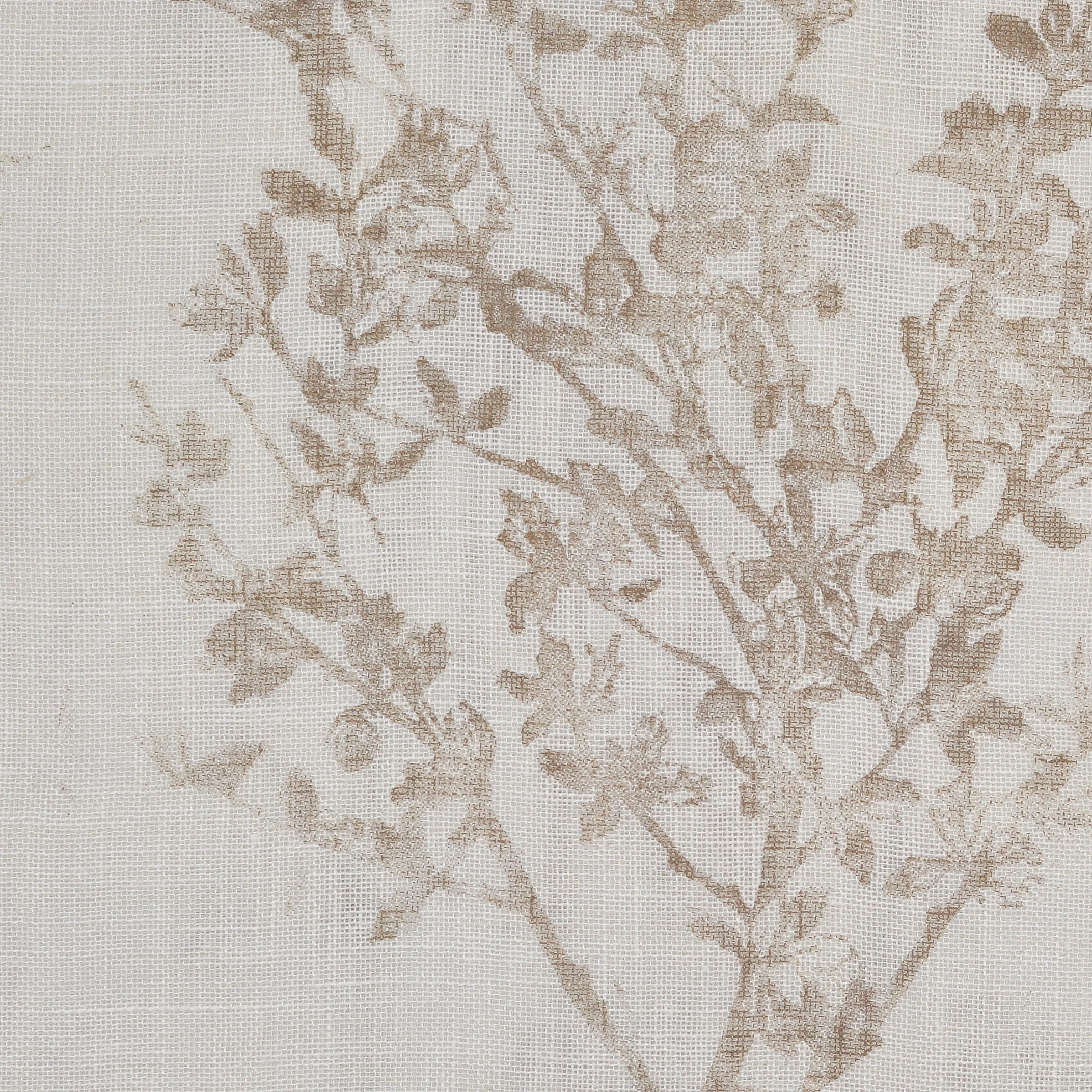 Y8501 Lichen