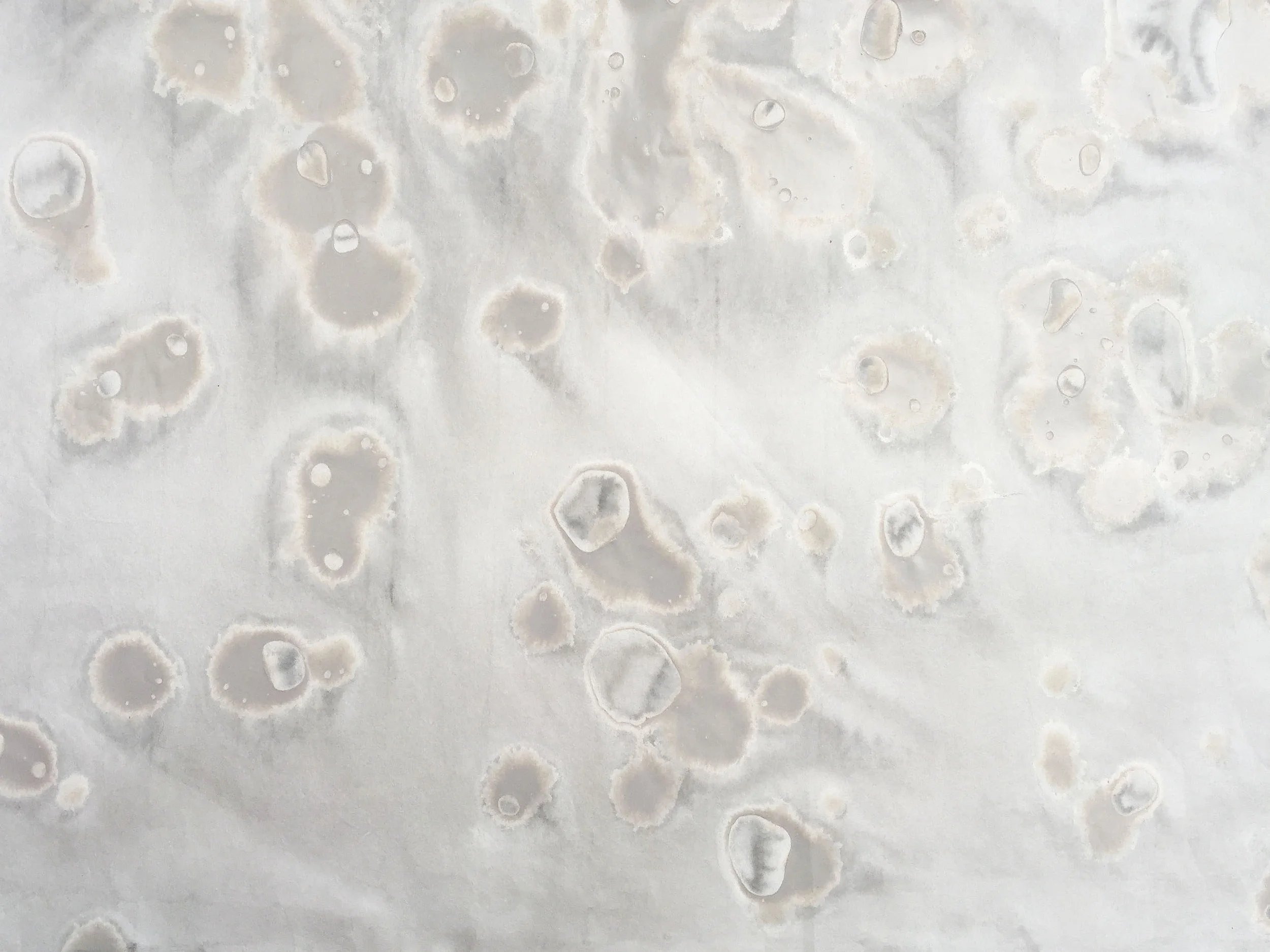 R1230 SPOTTED GLAZE/40 Million (detail)