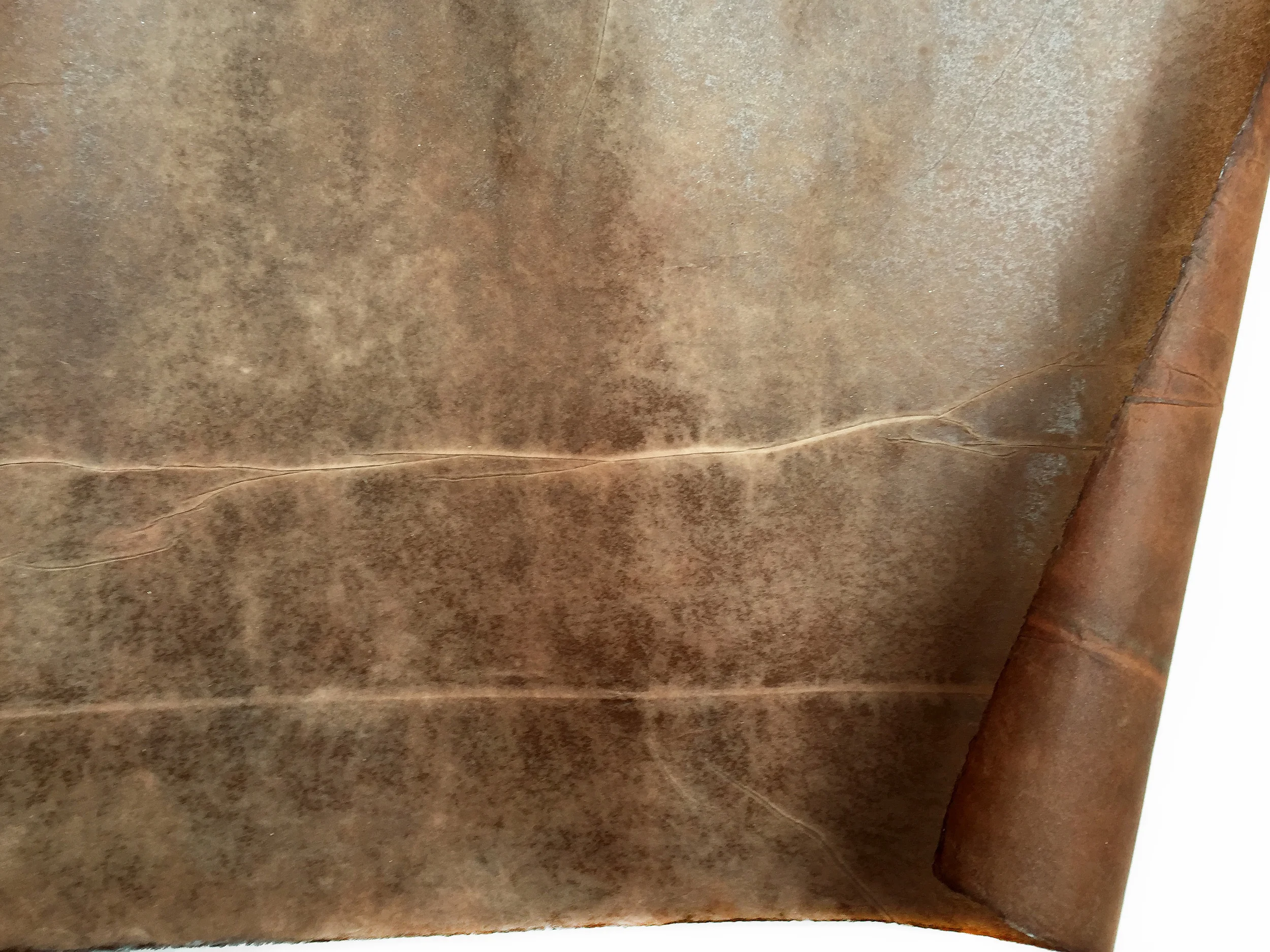 R1190 ONIONSKIN
