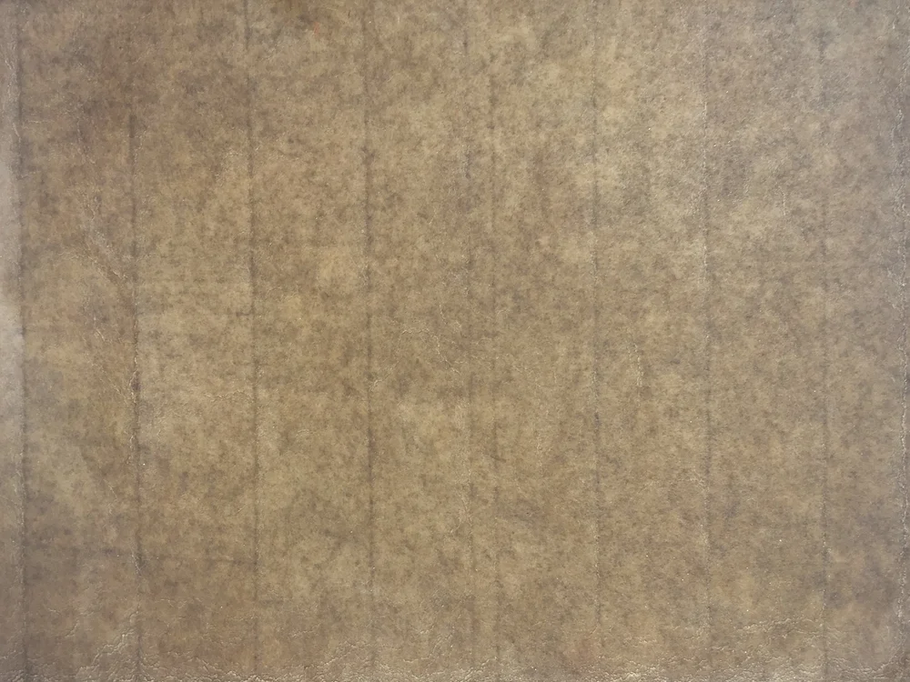 Handpainted Rice Paper — Carolyn Ray