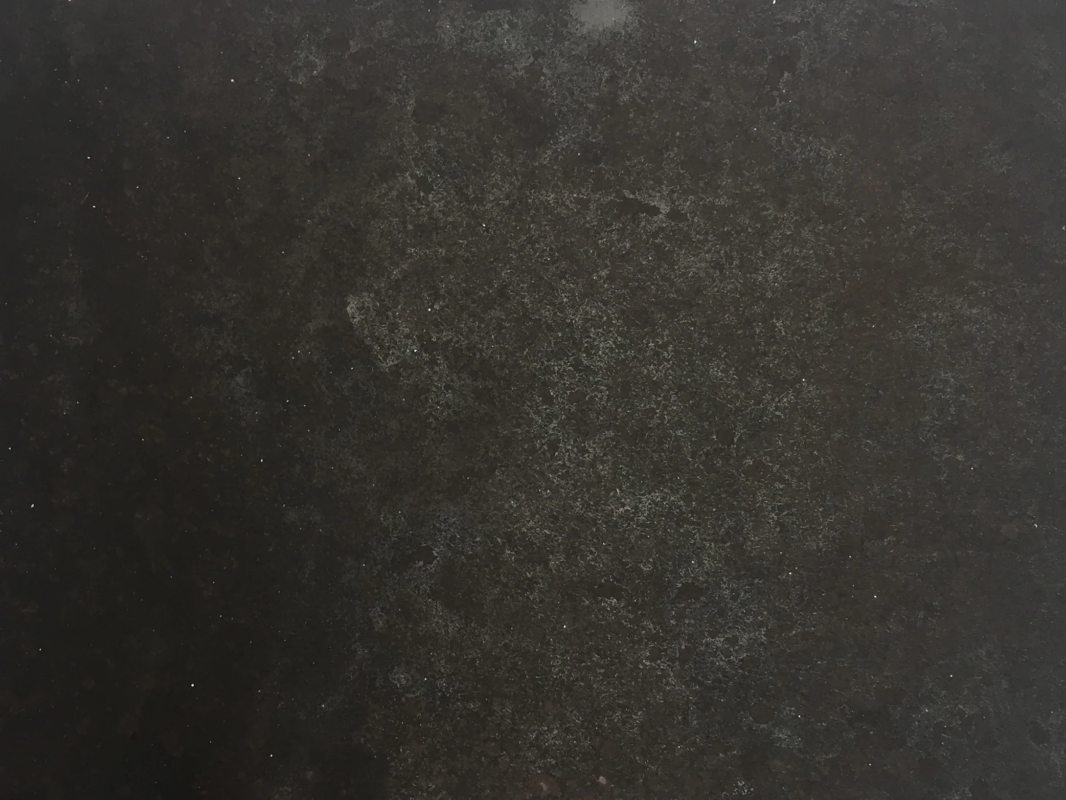 E1284 Prune (detail)