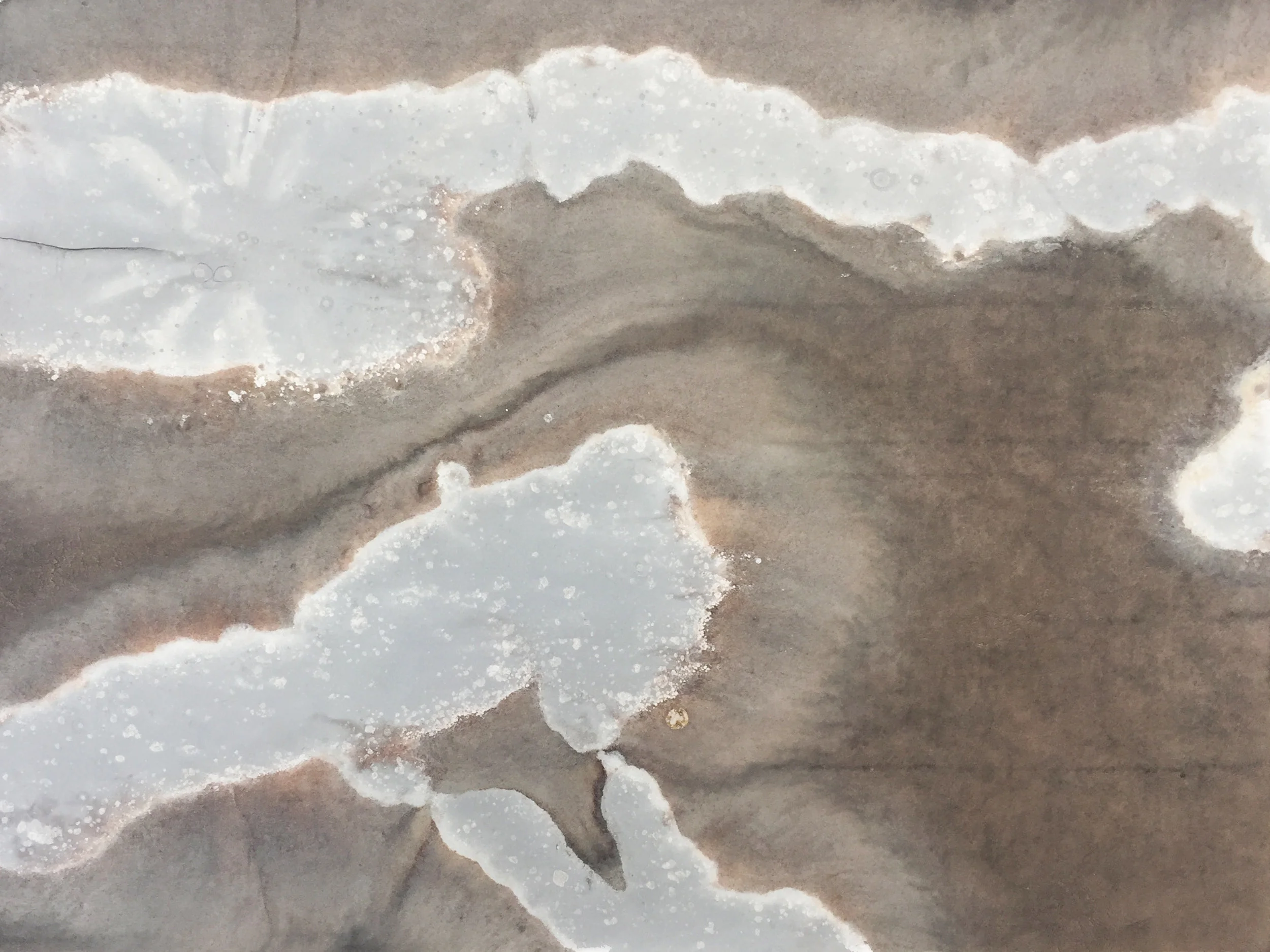 E1313 Catseye (detail)