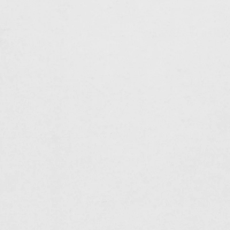 G24-07 ARTISTS’ DUPIONE White 100% Silk 54” width
