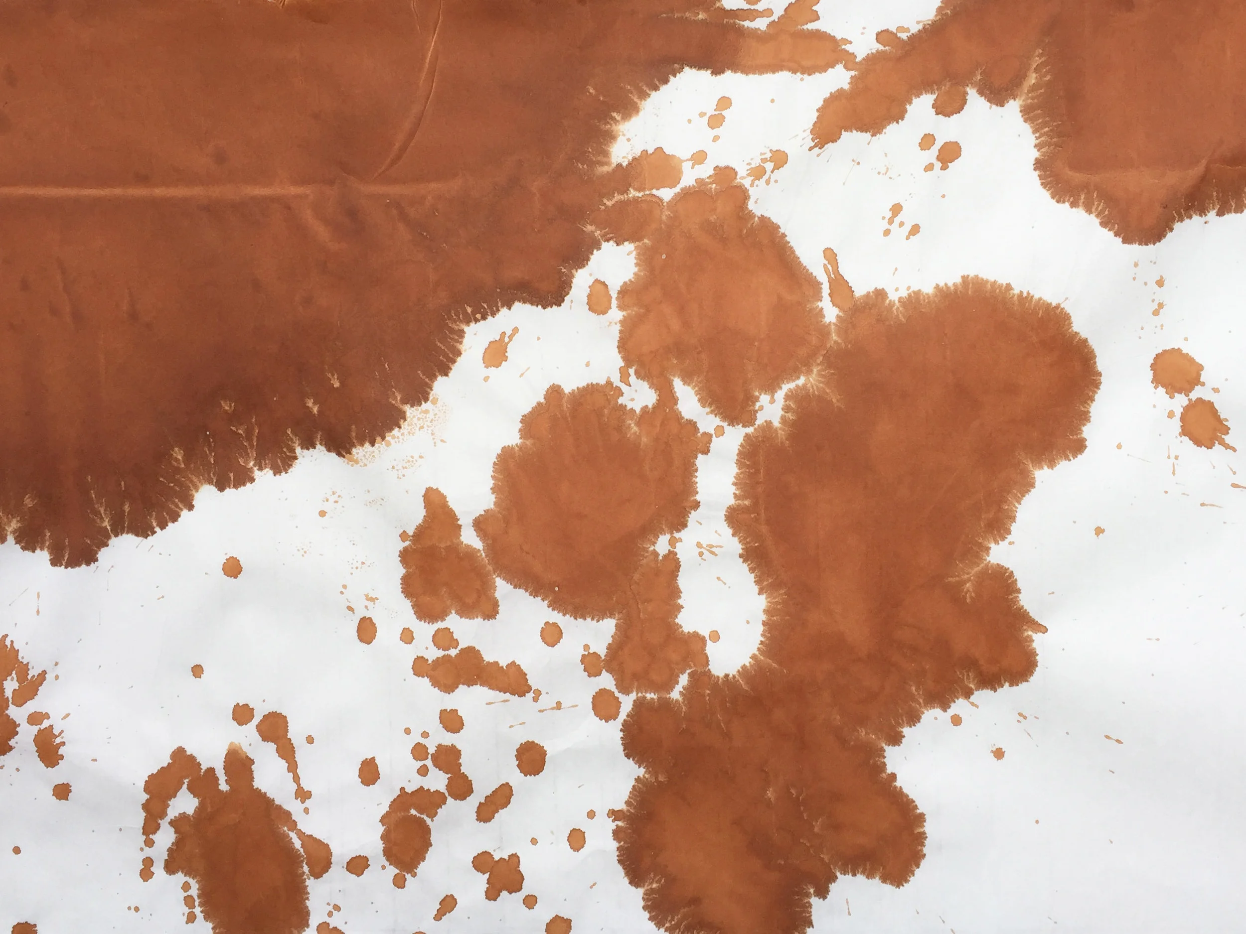 R1240 COWHIDE
