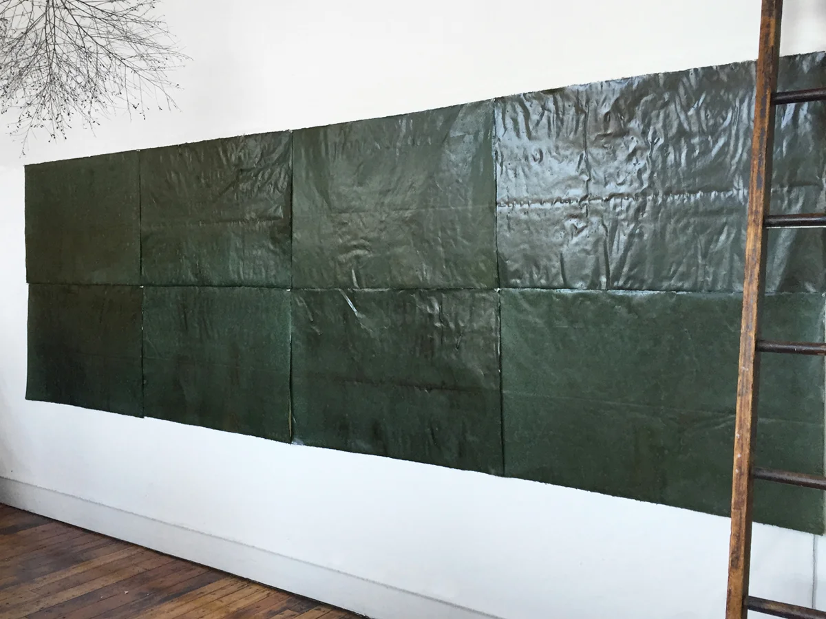 R1189 KELP