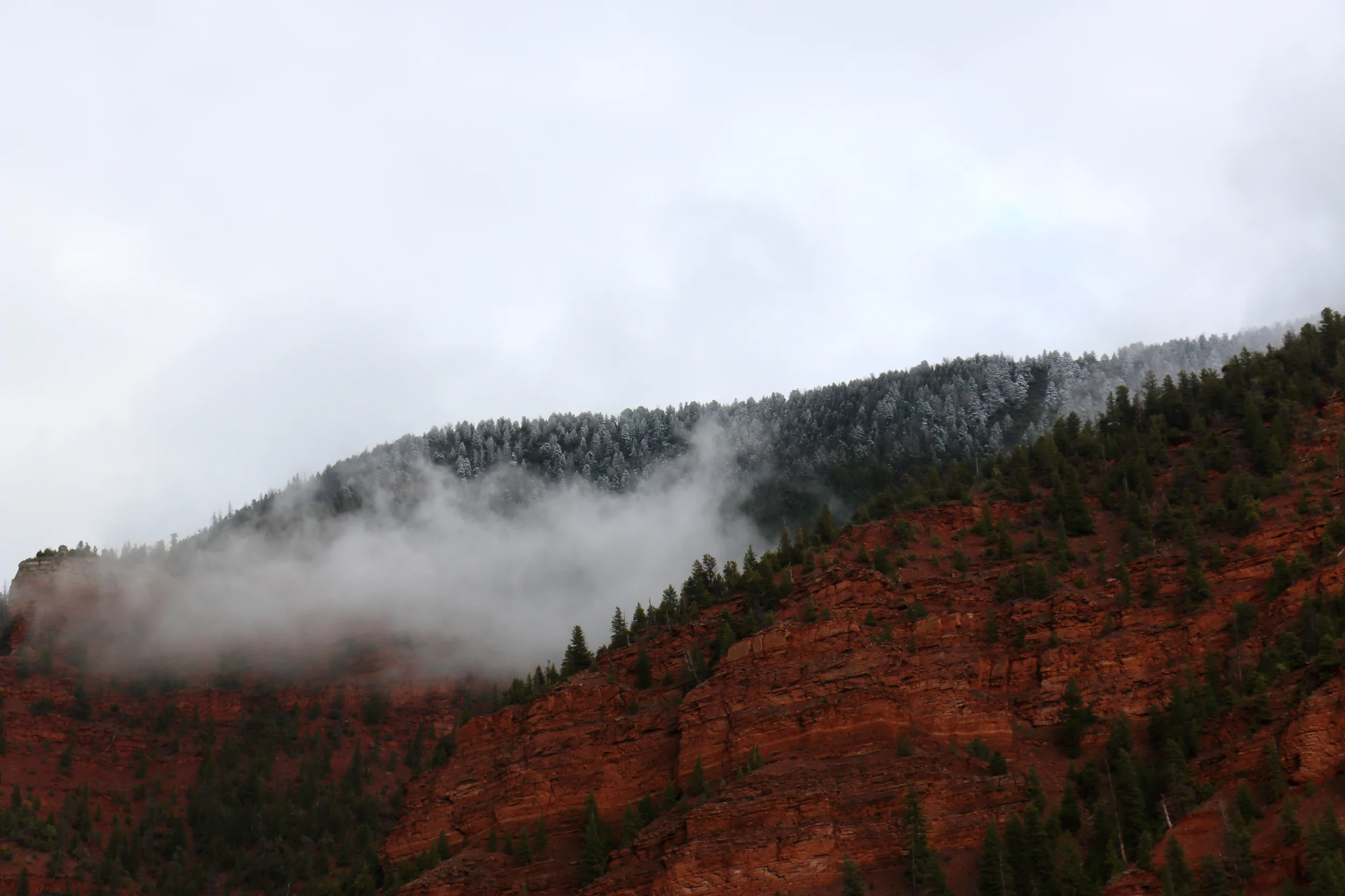 IMG_7168.JPG