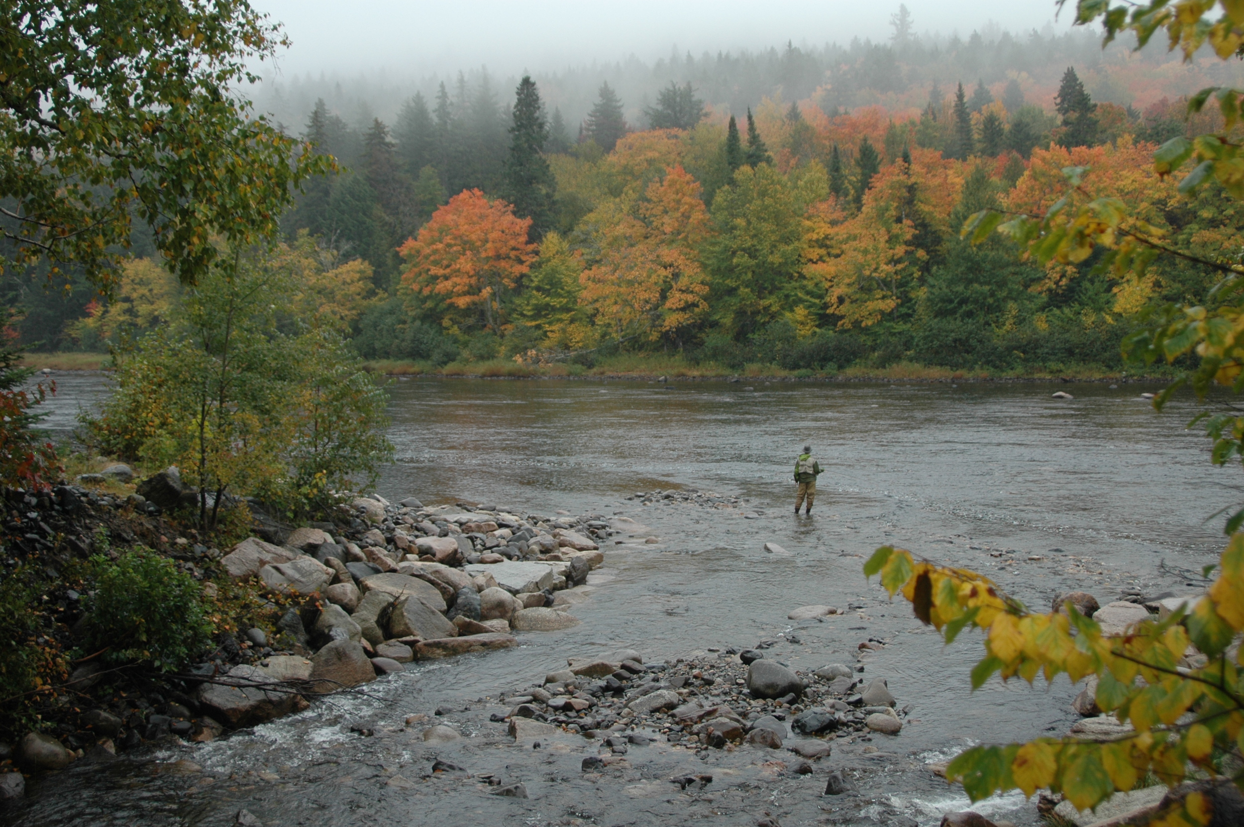 Miramichi - Curry Fishing.JPG