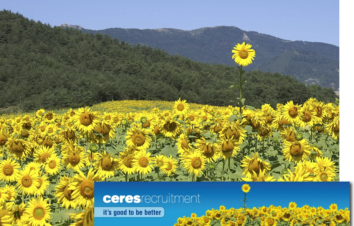  Ceres recruitment. Beeld uit eigen archief t.b.v. huisstijl (No photoshop🌼) 