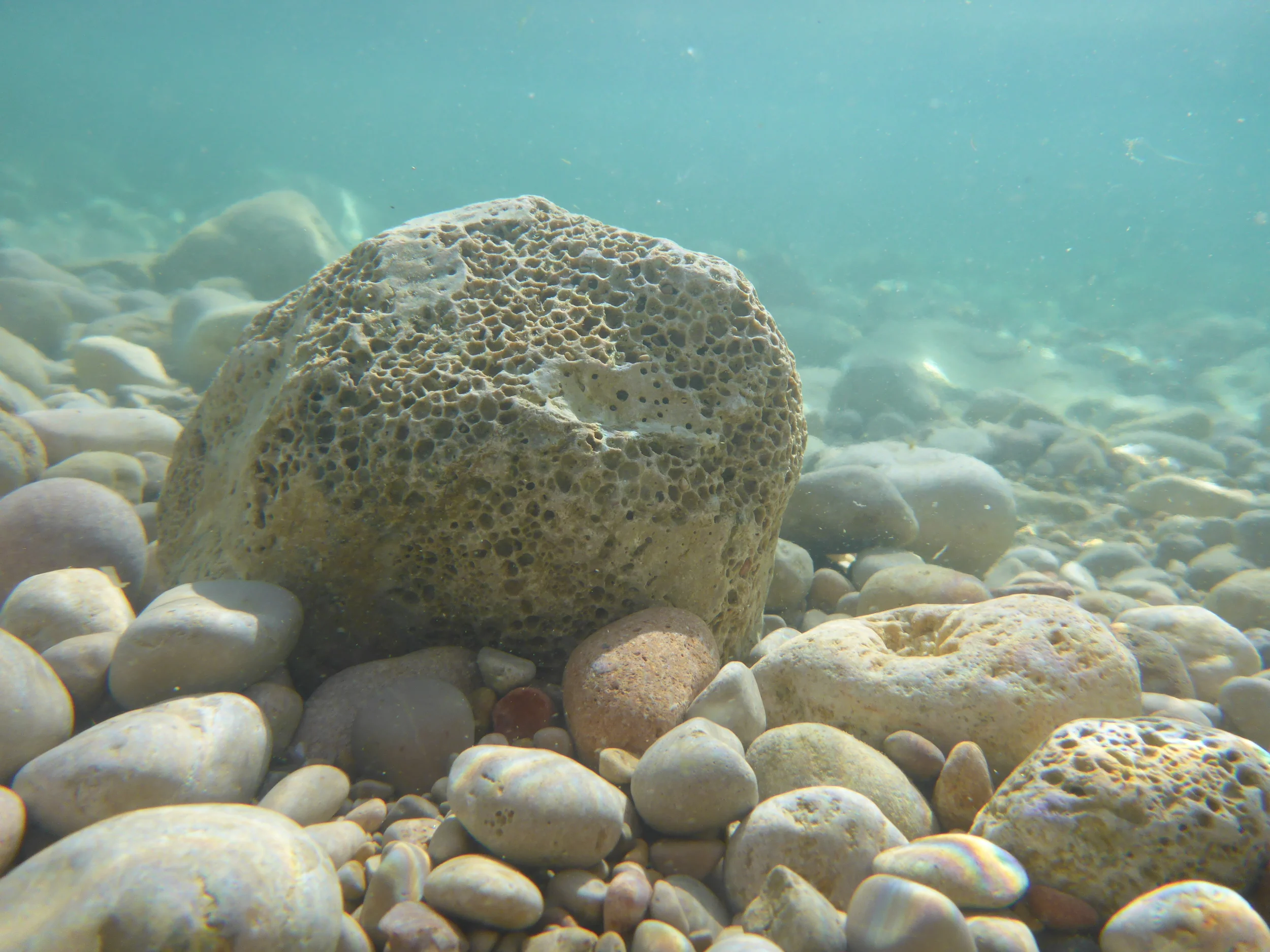 P1000375.JPG