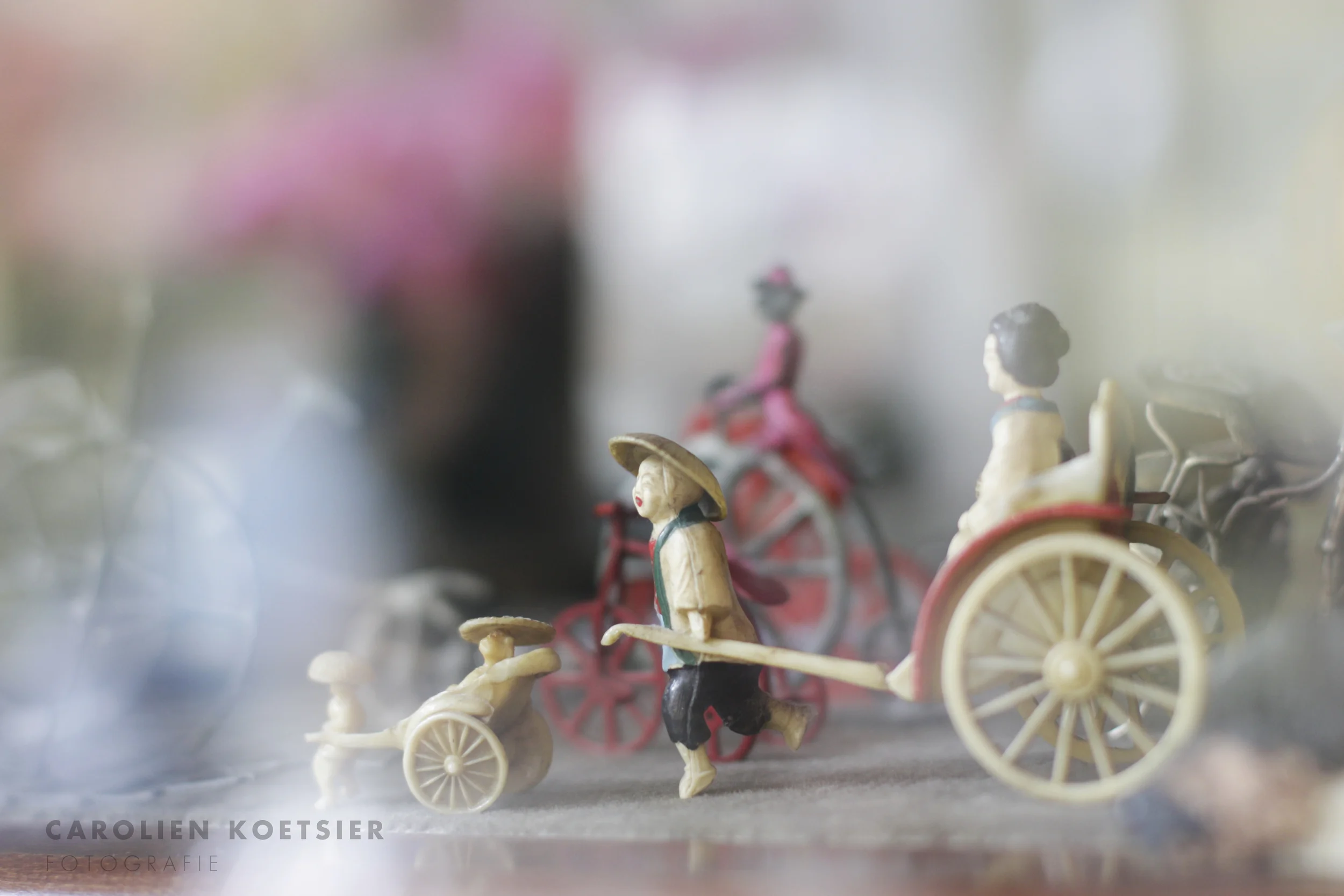 _MG_2901.jpg