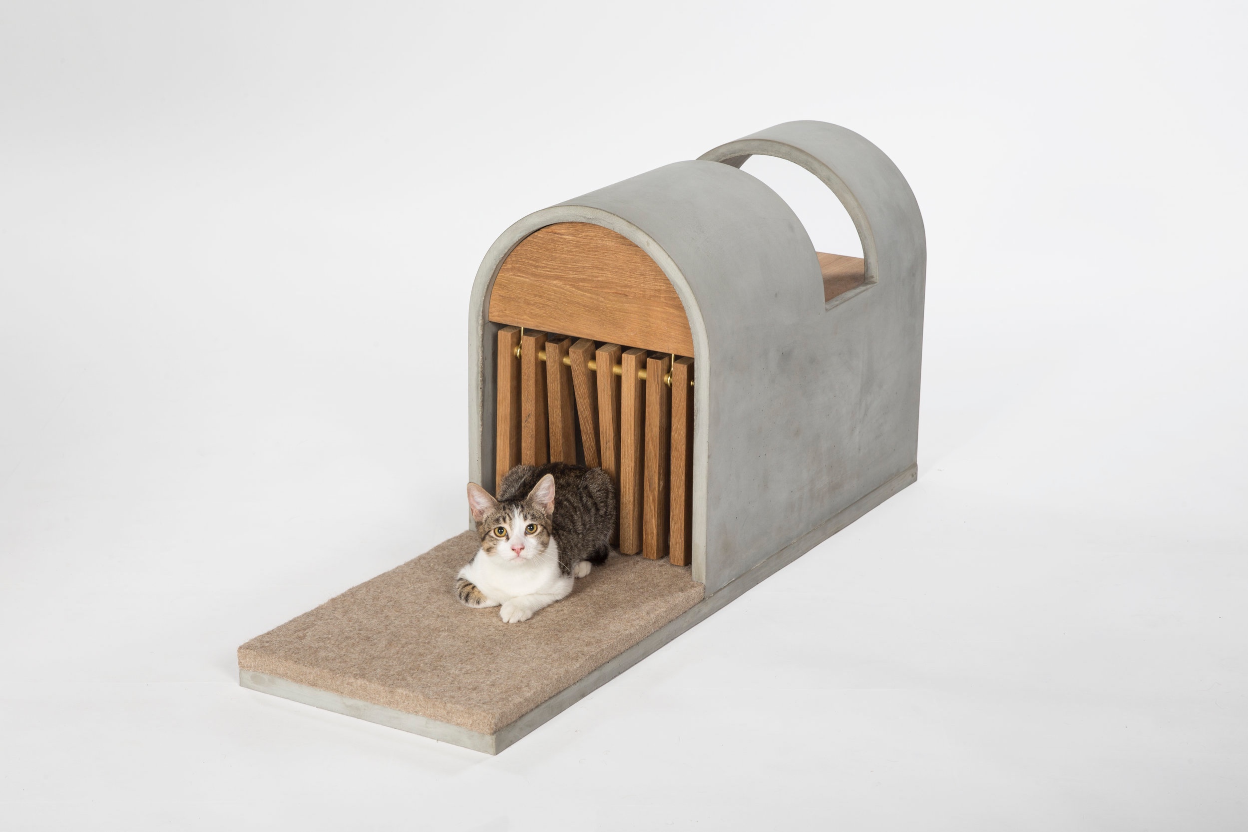 CAT POD in AD