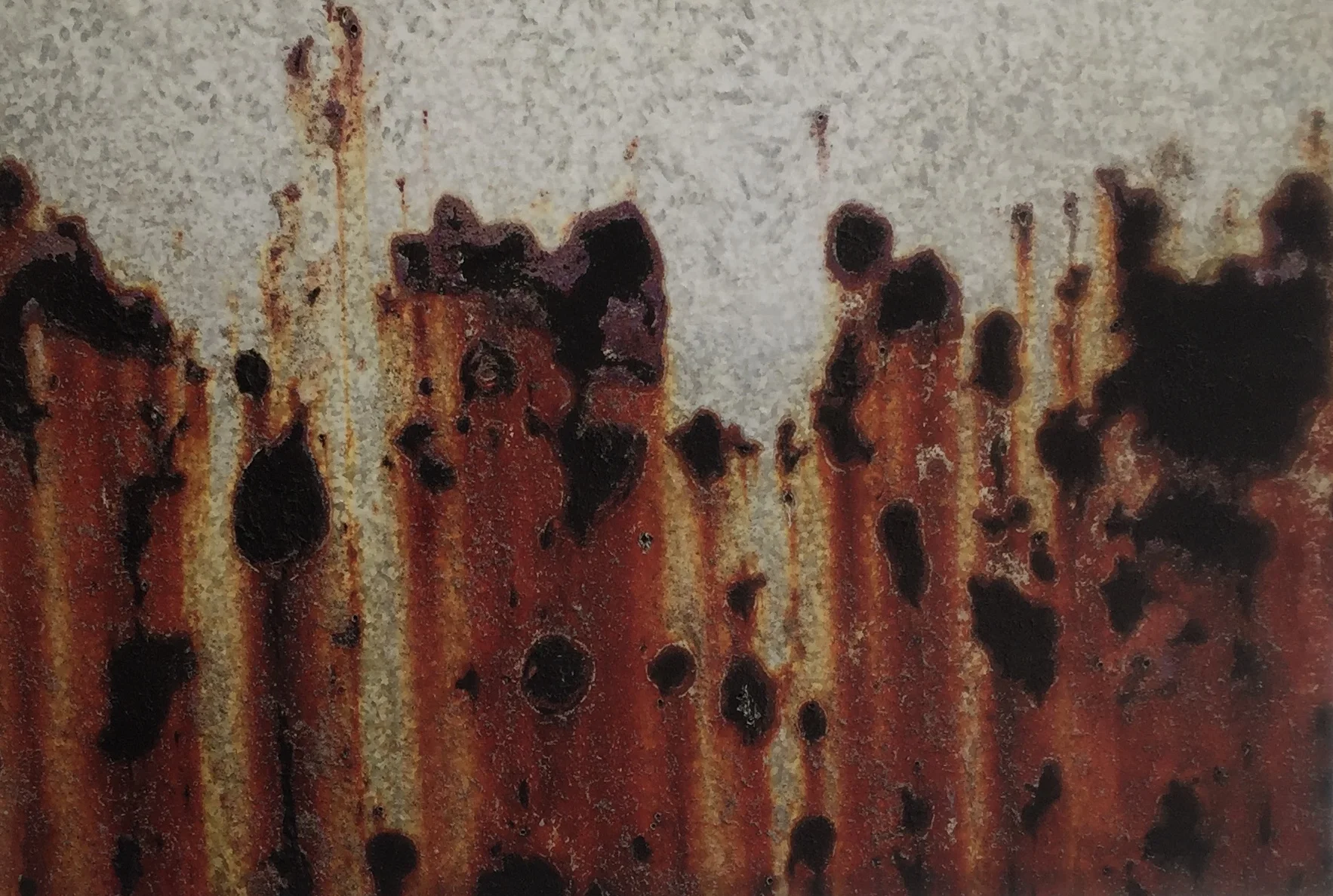 "Auto Oxidation: Porsche 54"