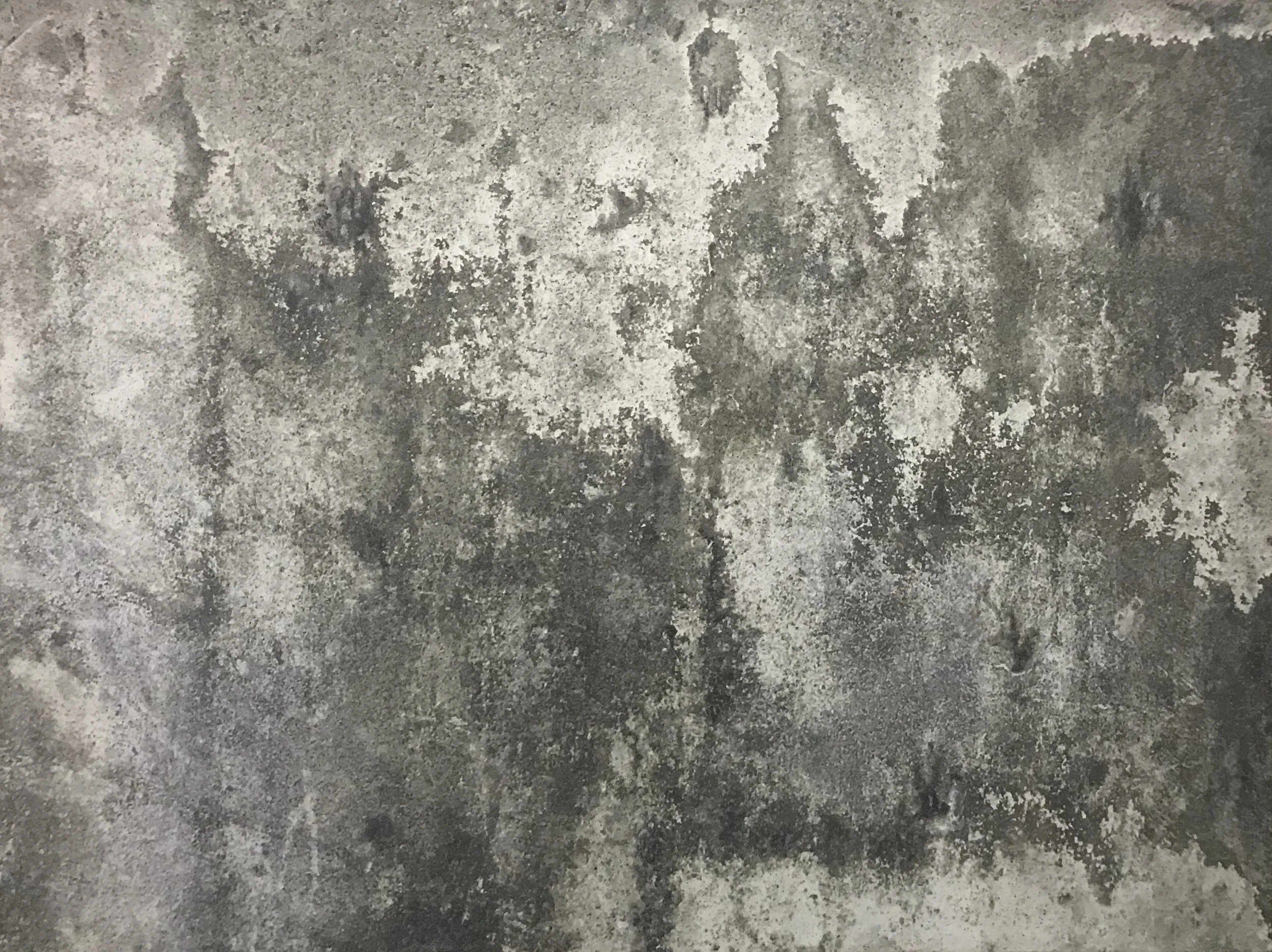 "Oxidation: Buick Special" Horizontal Orientation