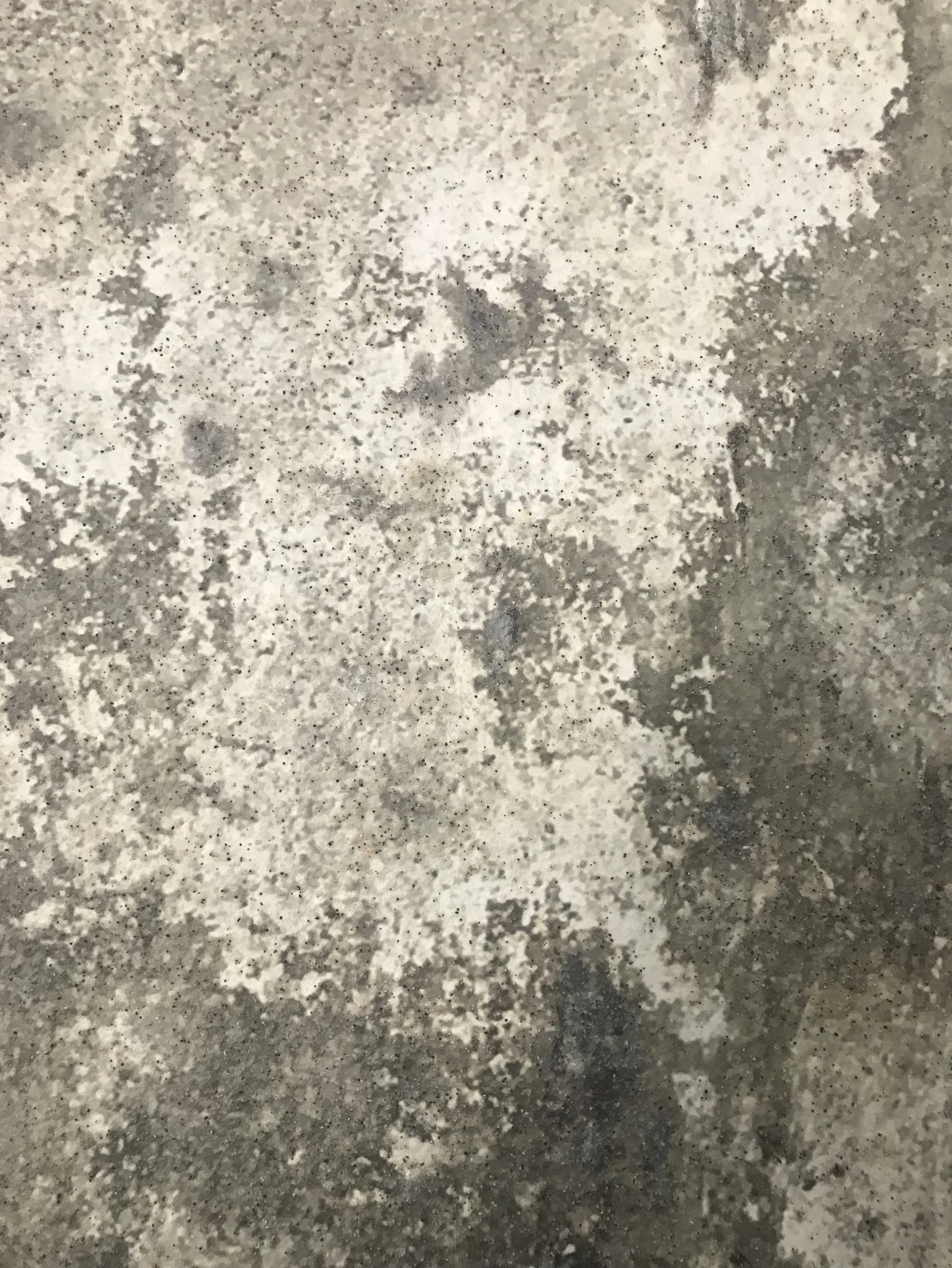 "Oxidation: Buick Special" Detail