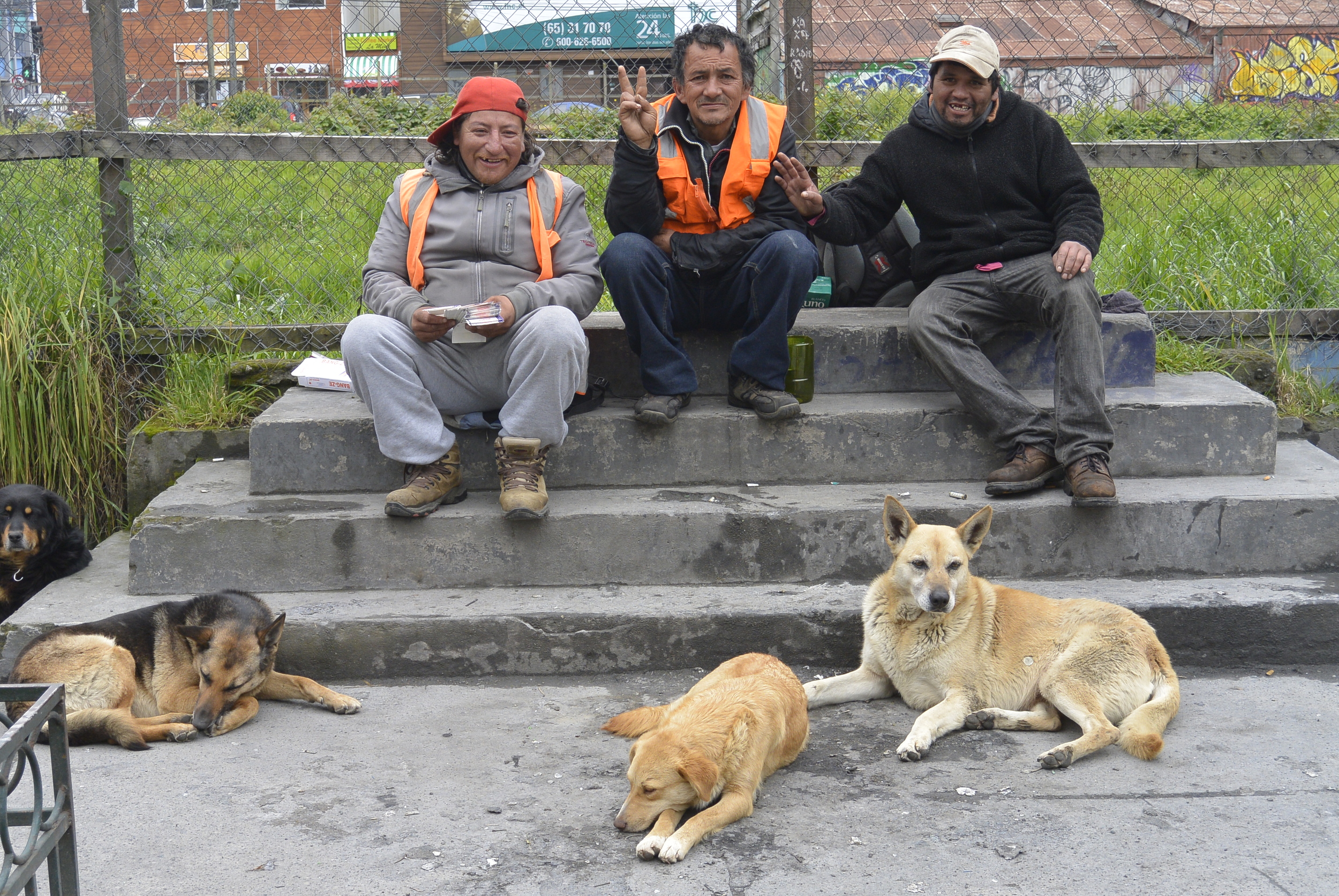 Puerto Montt Chile Men and Dogs