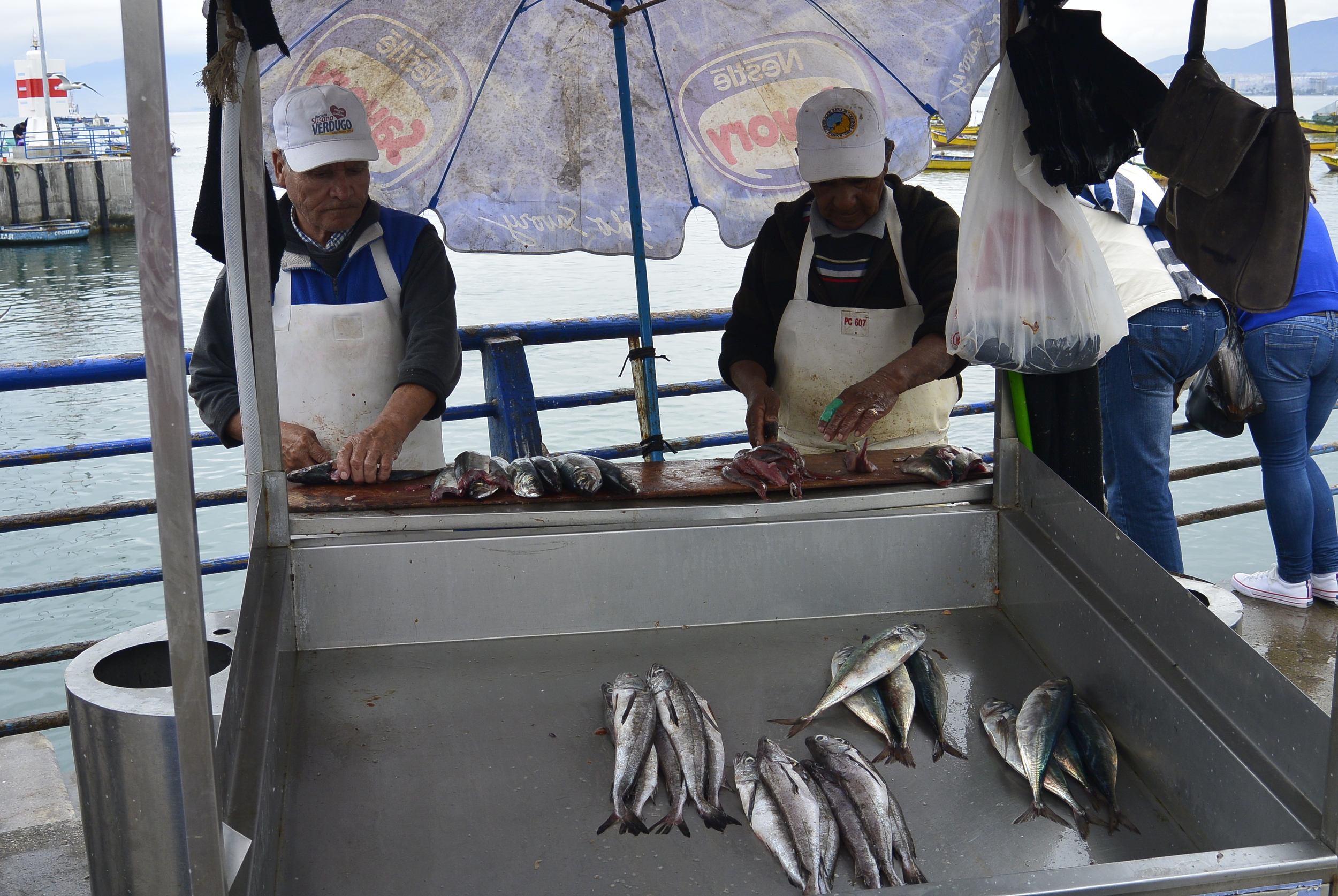 Fisherman prepare fish Coquimbo Chile