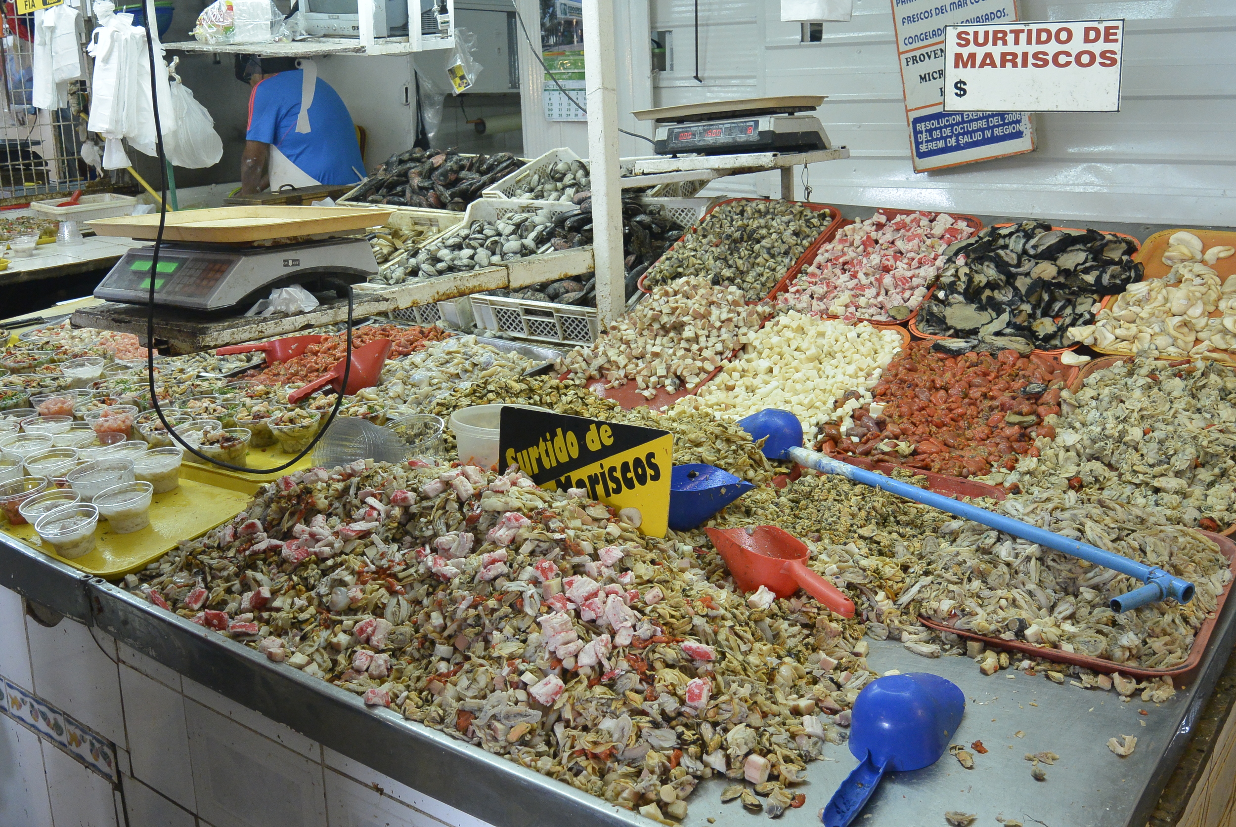 Coquimbo Chile Fish Market