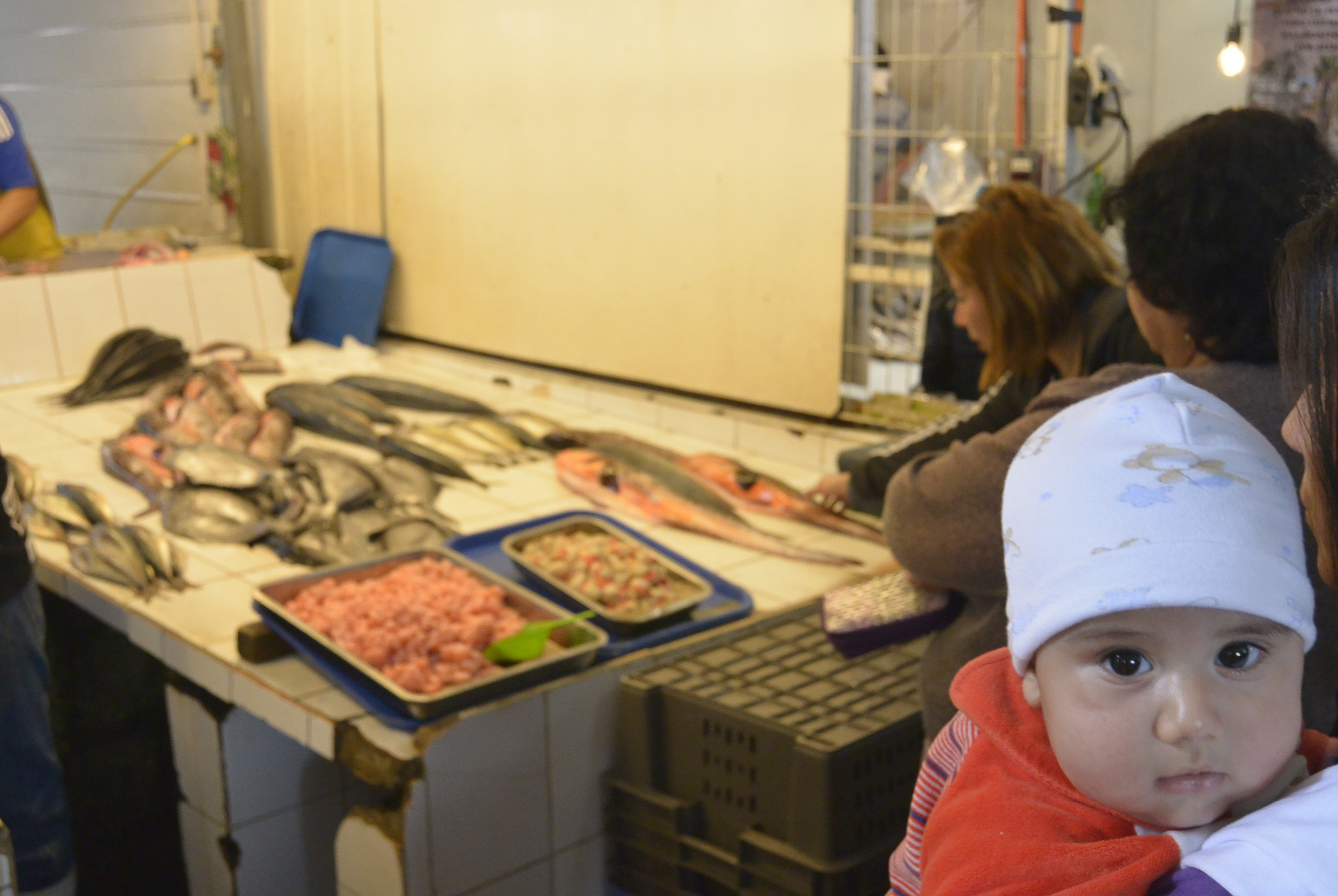 Coquimbo Chile Fish Market