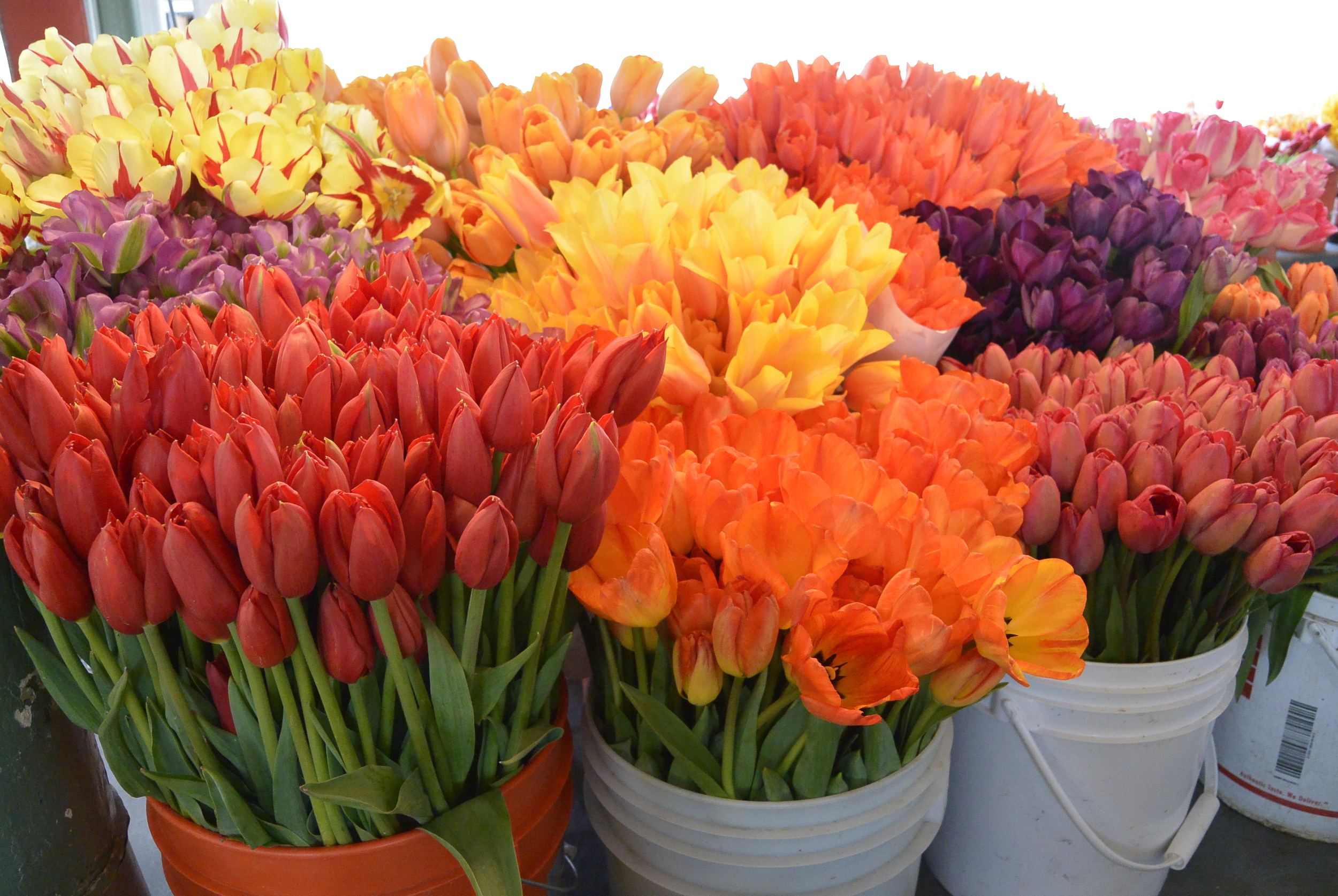 Flowers Pike place Market Seattle