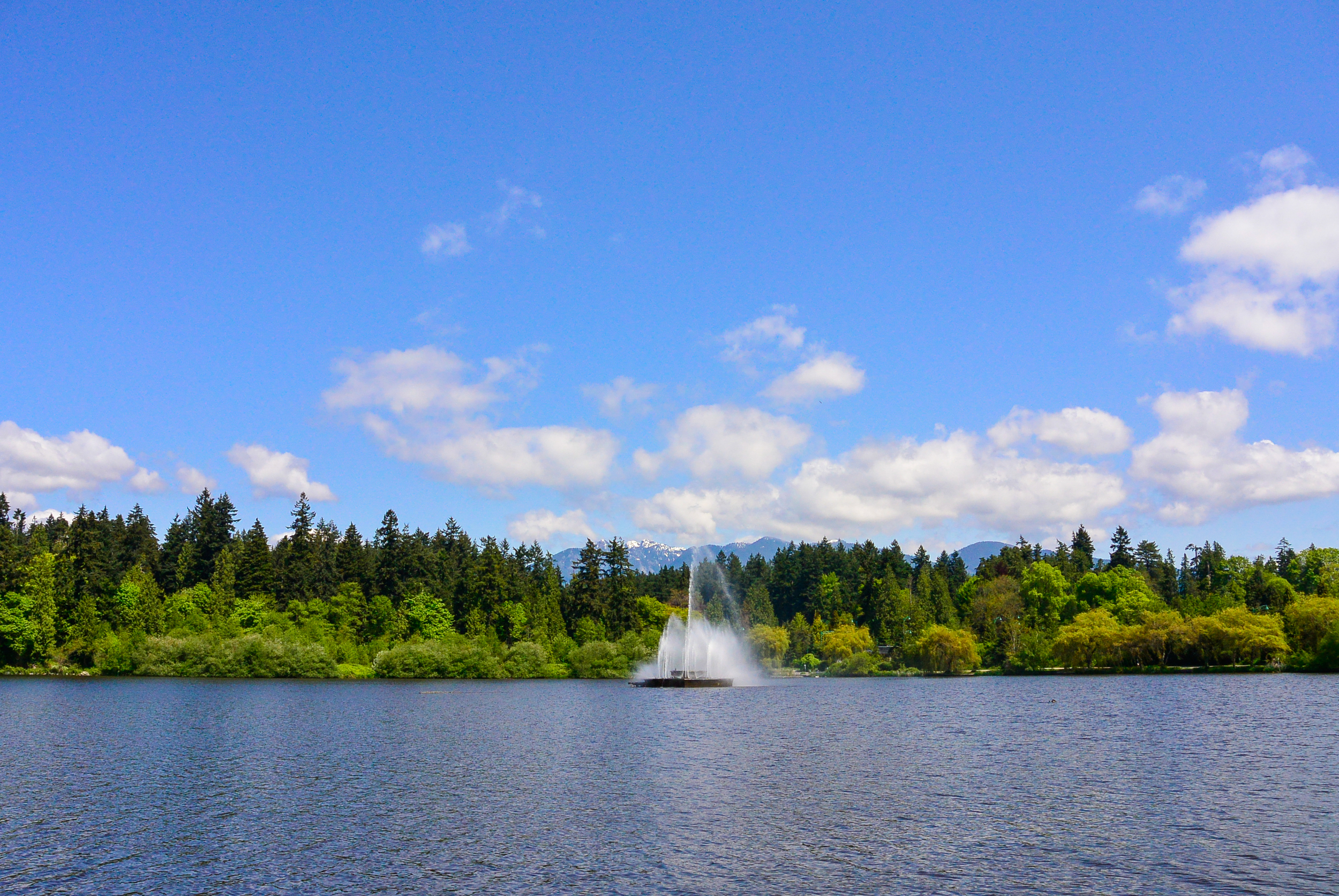 lost lagoon stanley park