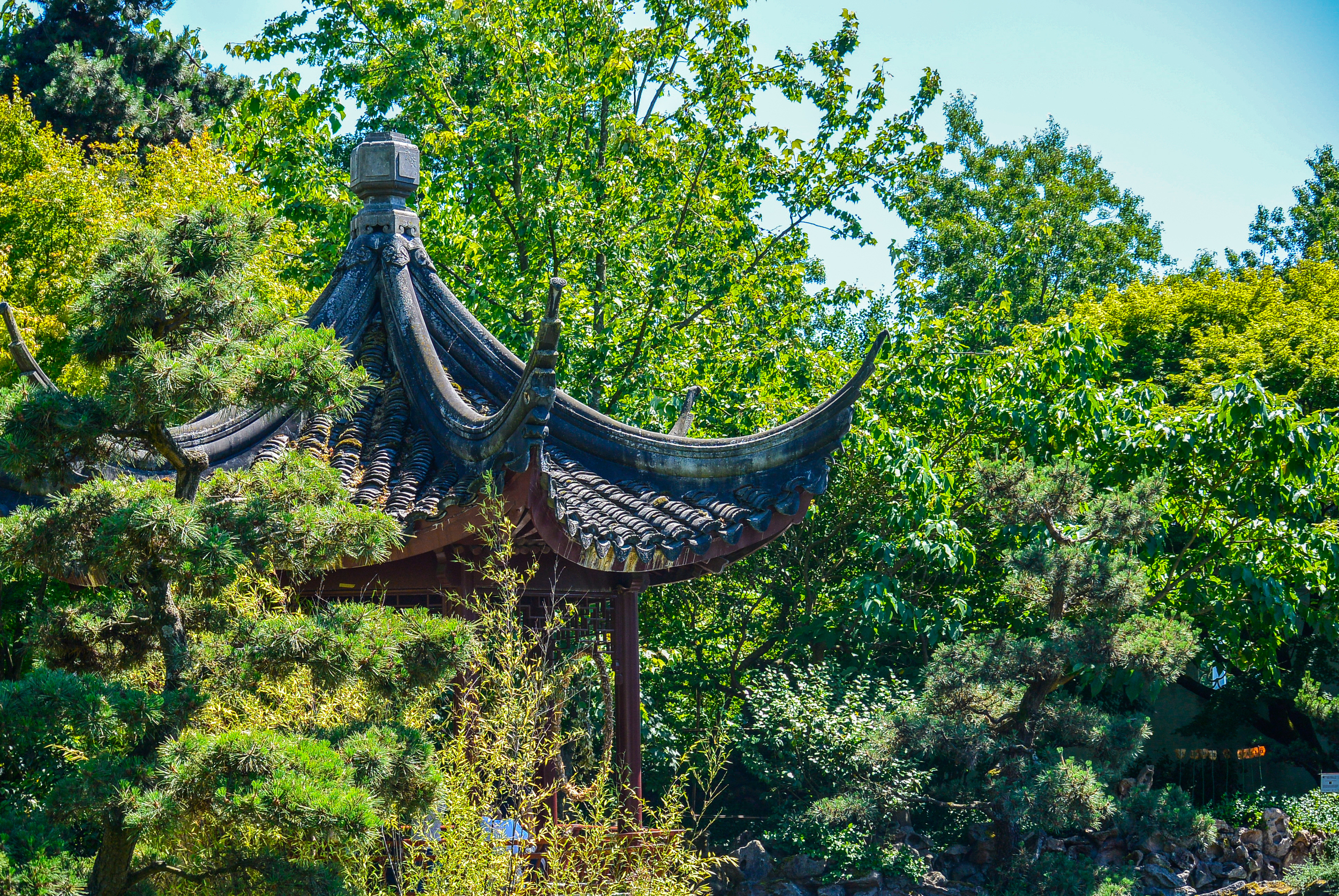 Chinese Garden Vancouver