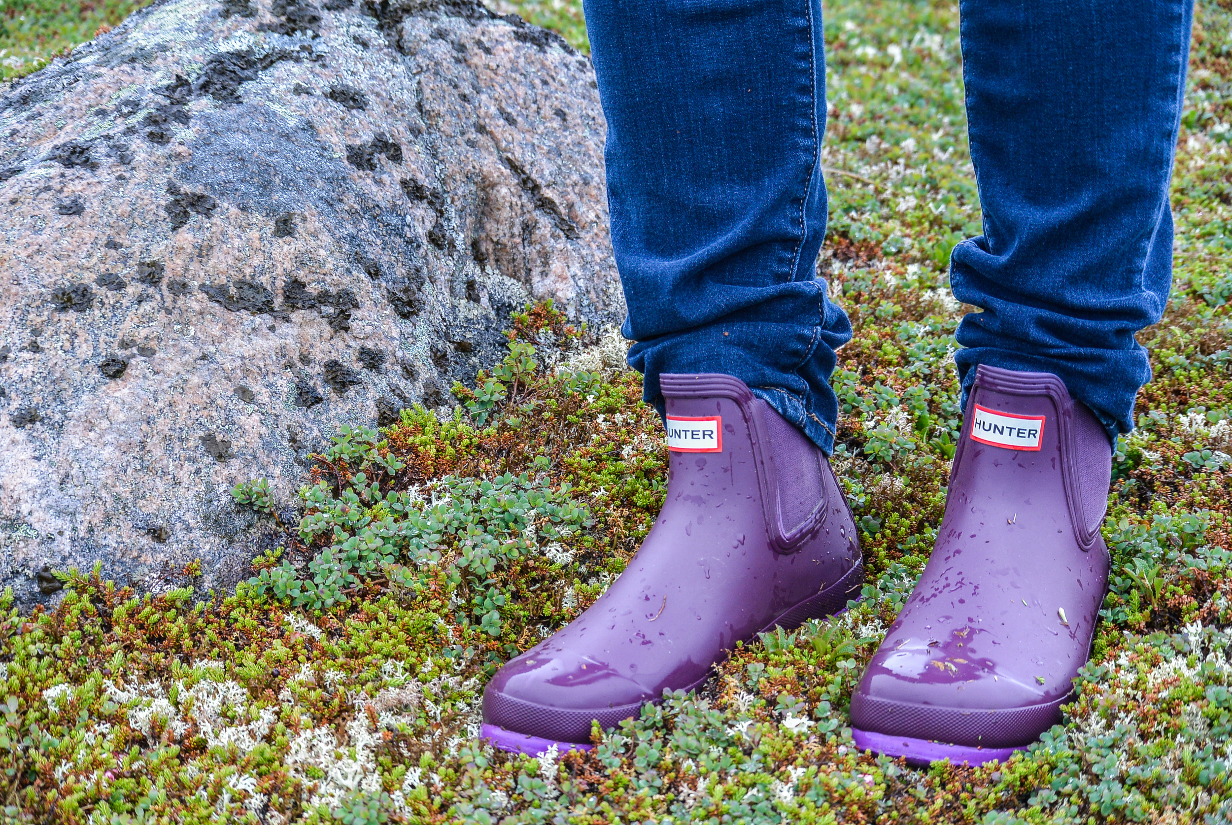Hunter Boots Red Bay Labrador