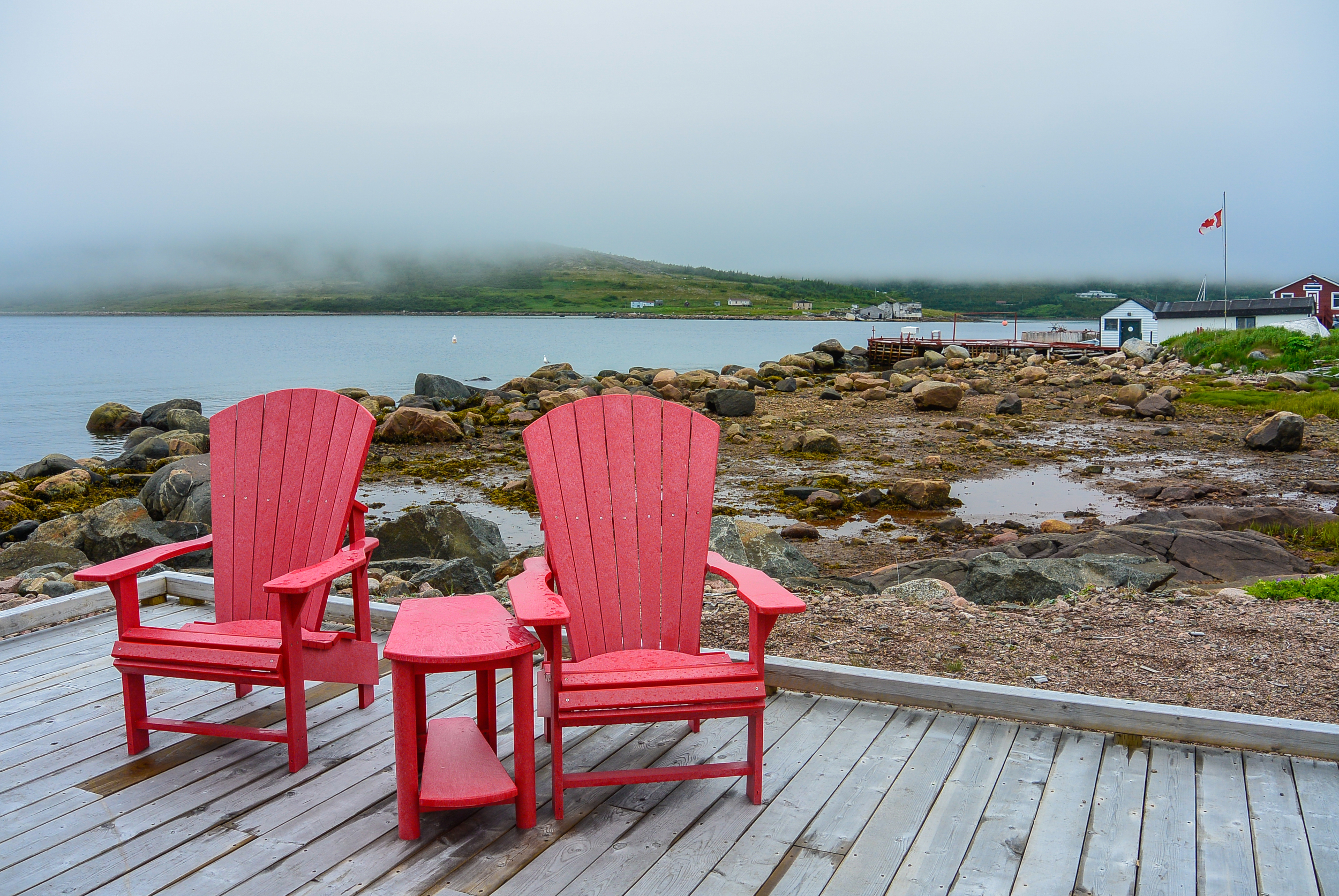 Red Bay Labrador