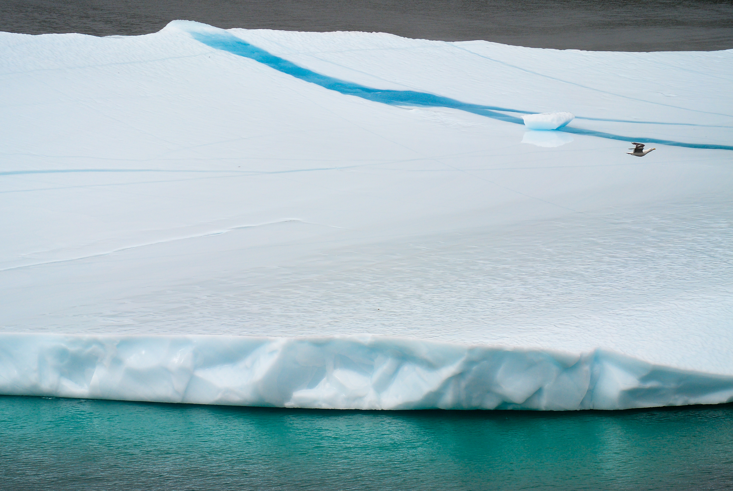 Iceberg Red Bay Labrador