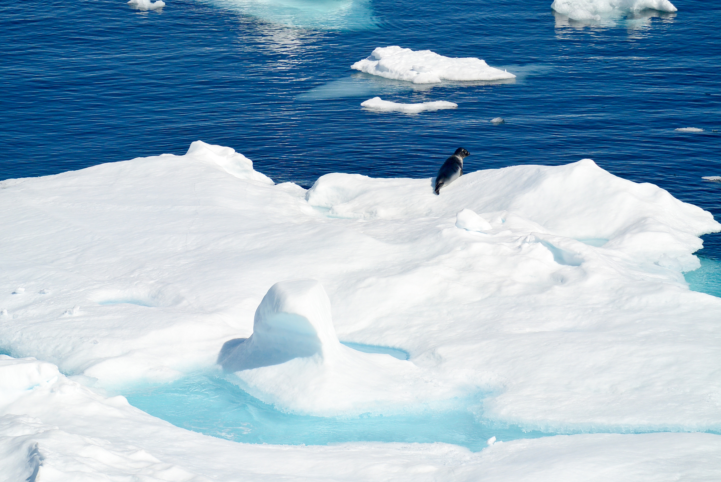 ICE GREENLAND
