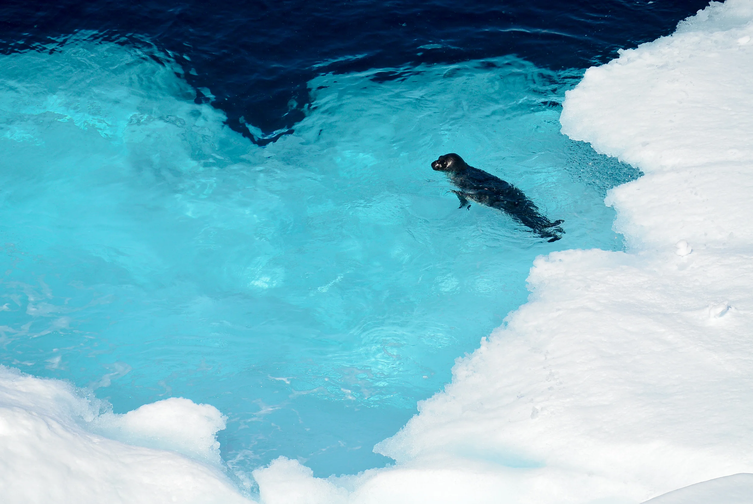 ICE GREENLAND